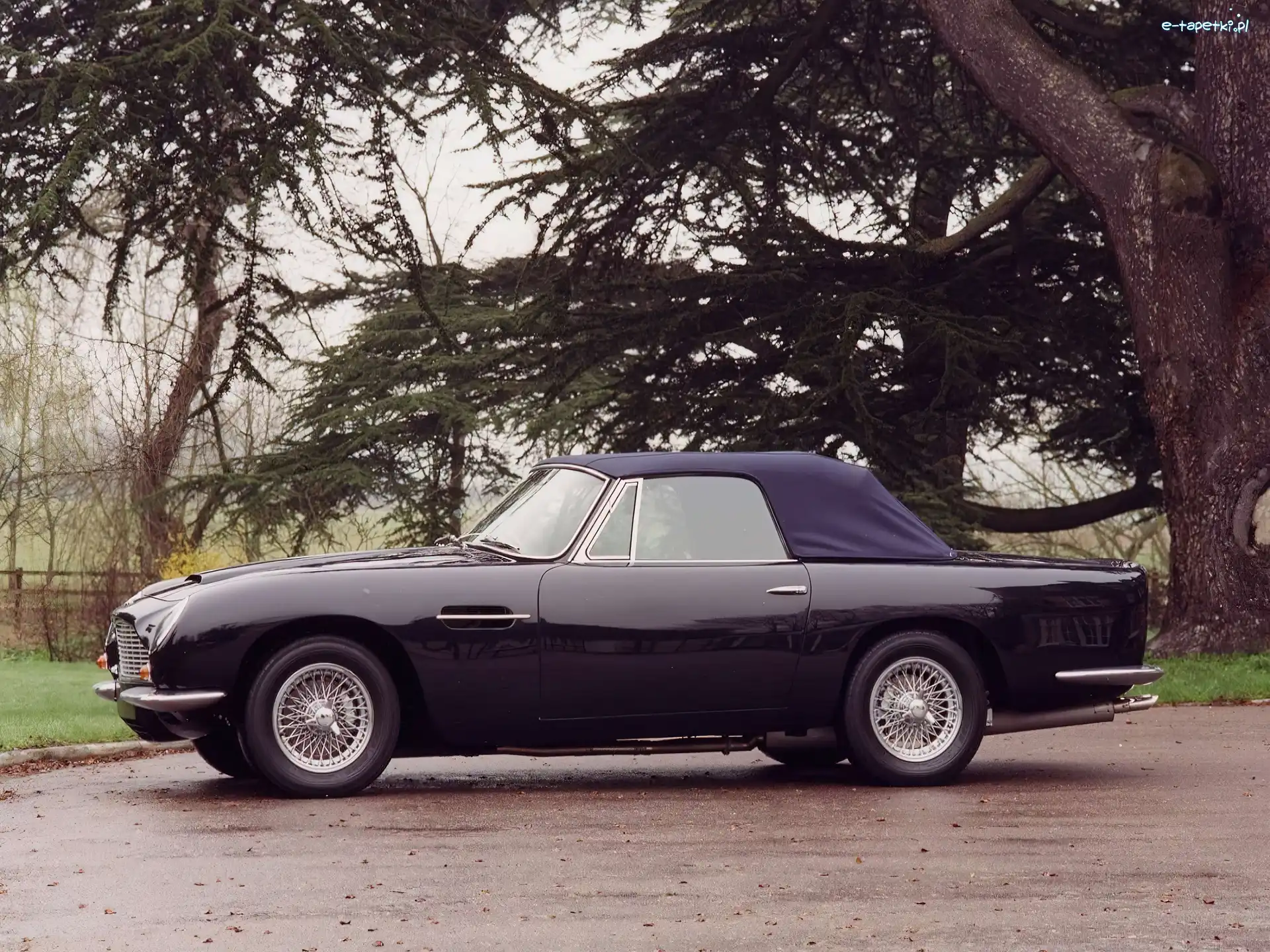 Samochodu, Volante, Aston Martin DB6, Bok