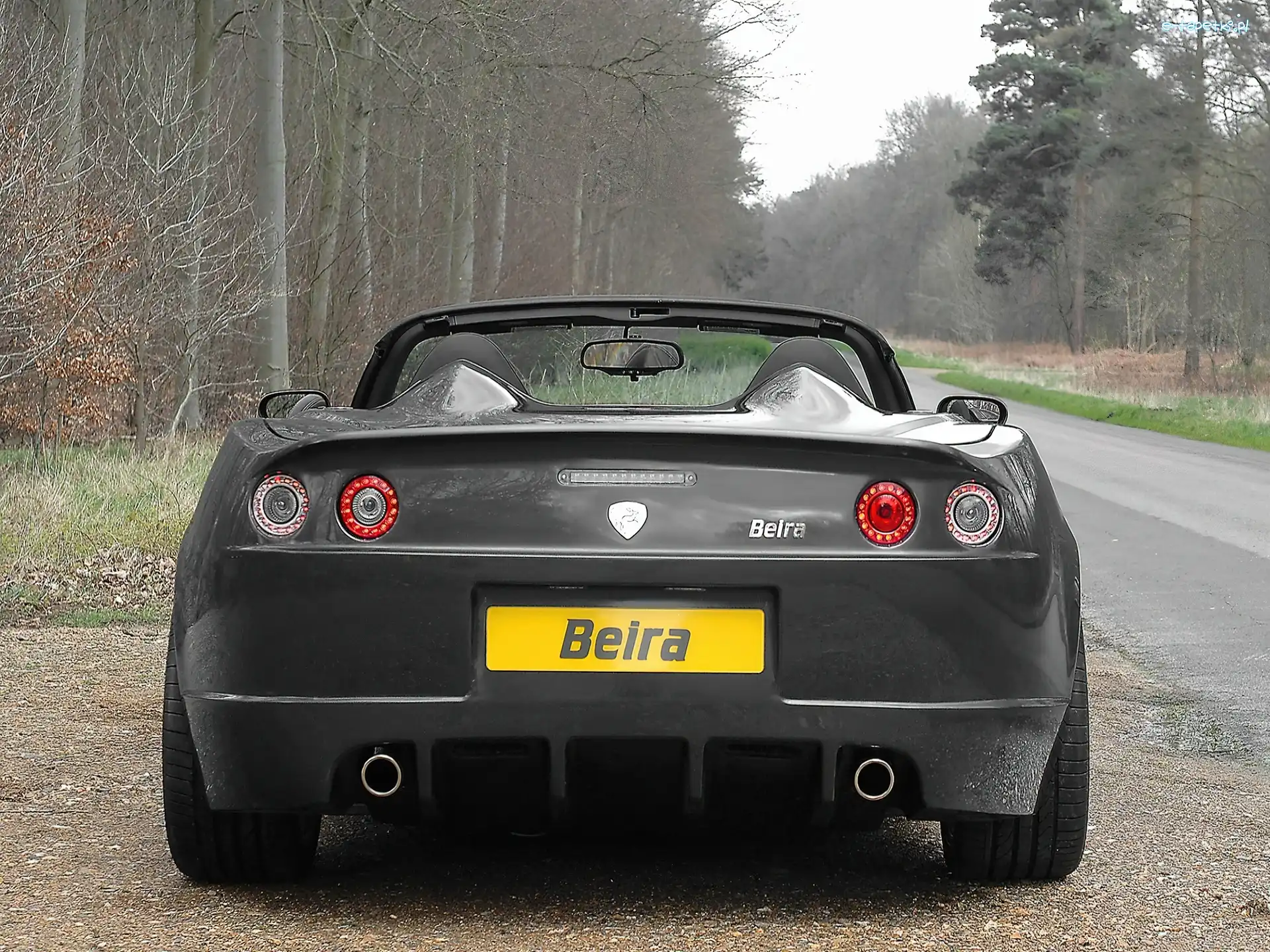 Breckland Beira, Tył