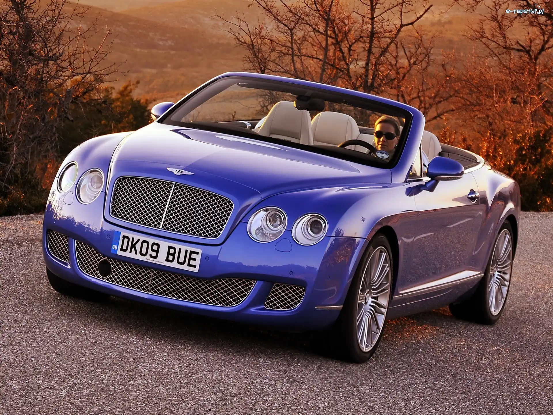 Właścicielka, Bentley Continental GTC