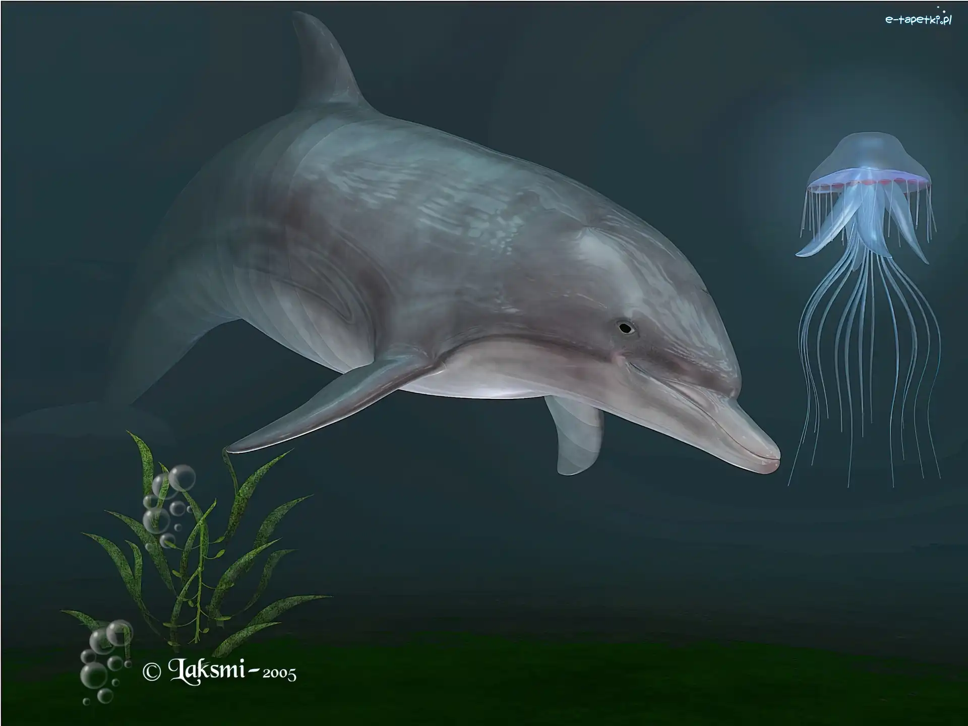 3D, Meduza, Delfin