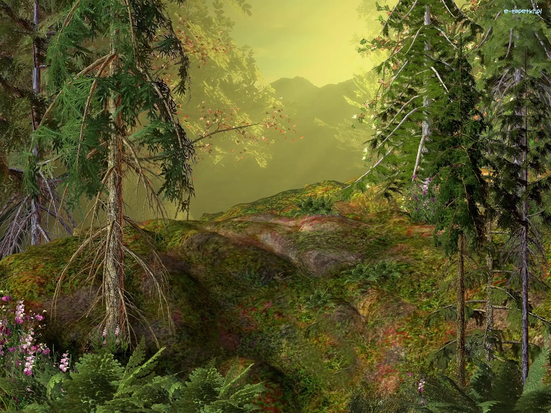 Las, 3D, Góry, Drzewa