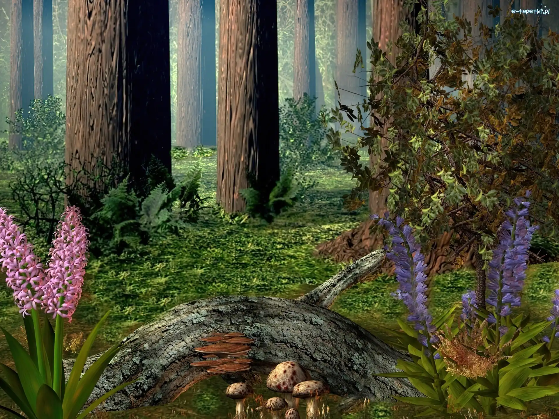 Grafika 3D, Las