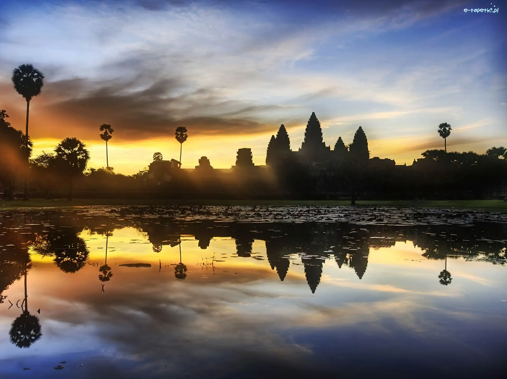 Angkor, Kambodża
, Dżungla, Świątynie