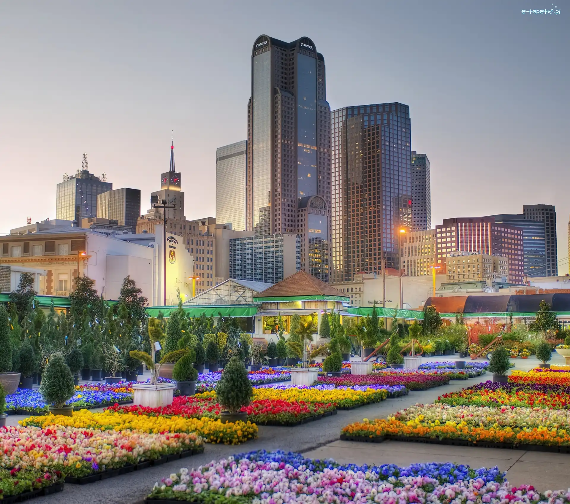 Dallas, USA, Teksas, Wieżowce