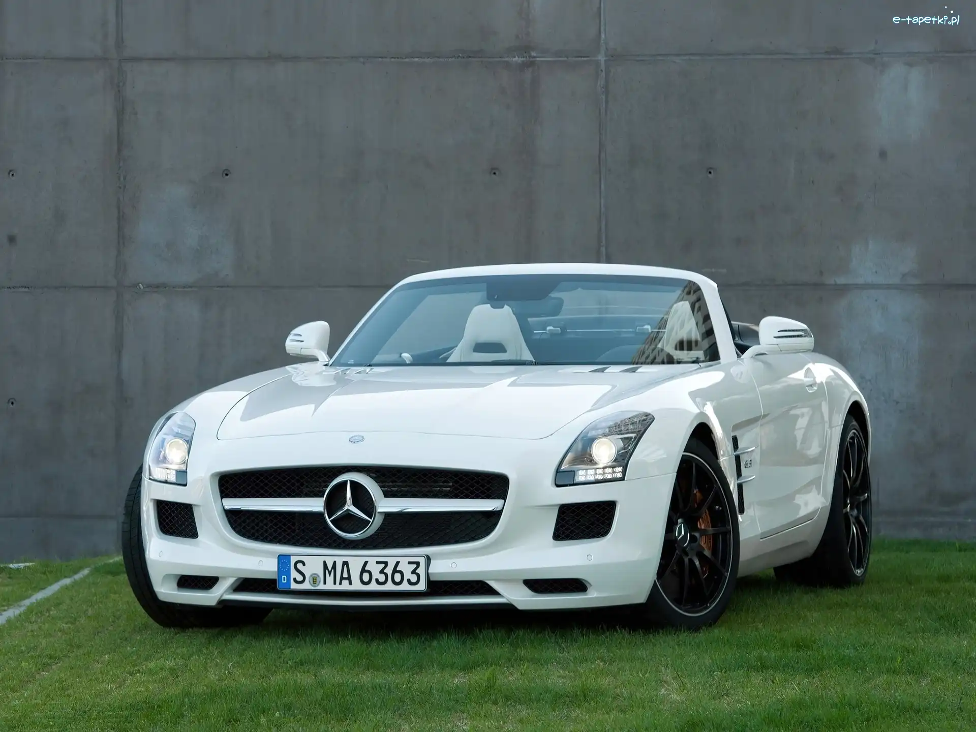 Znaczek, Maska, Mercedes-Benz SLS Roadster AMG