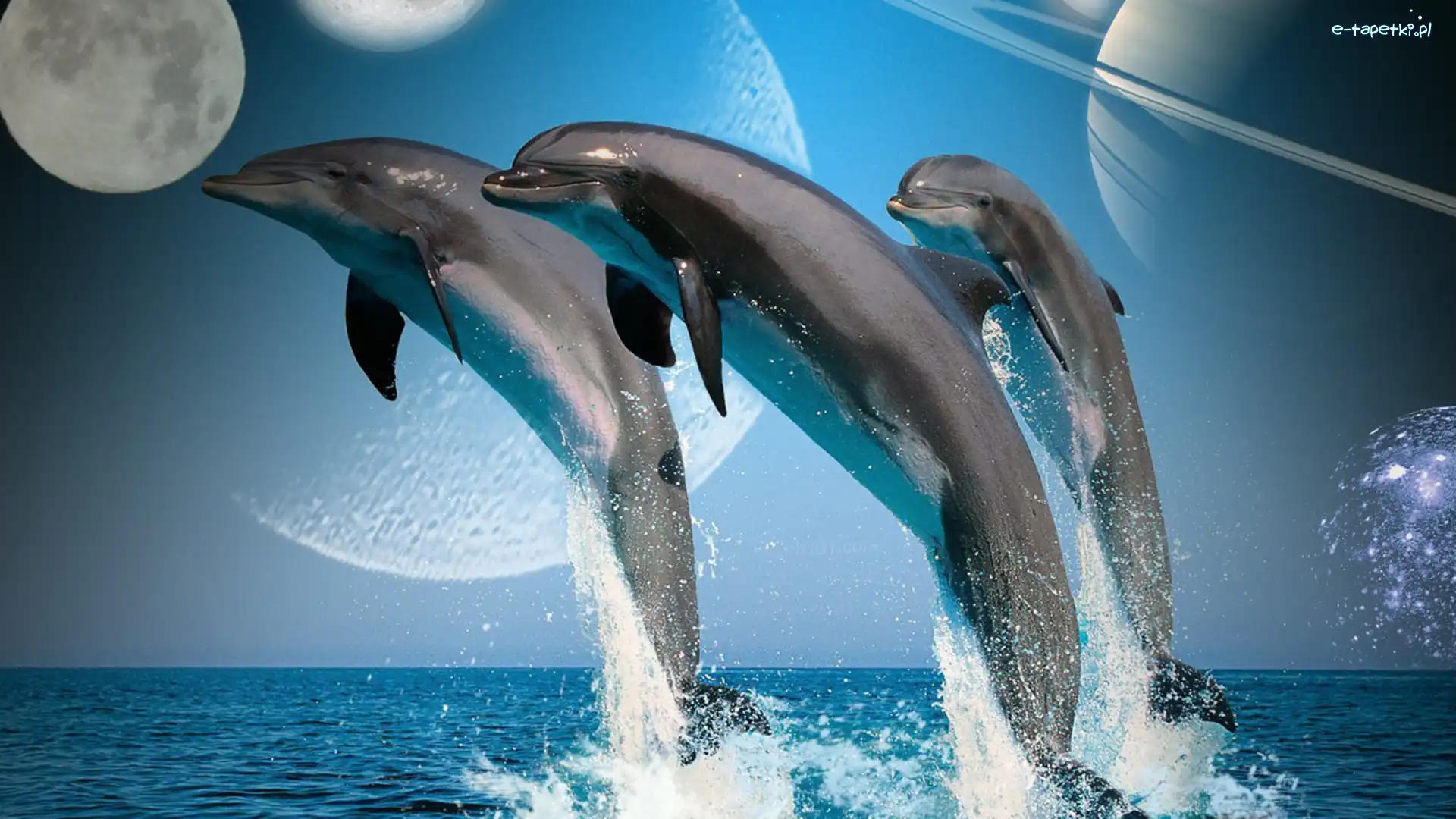 Planety, Woda, Delfiny