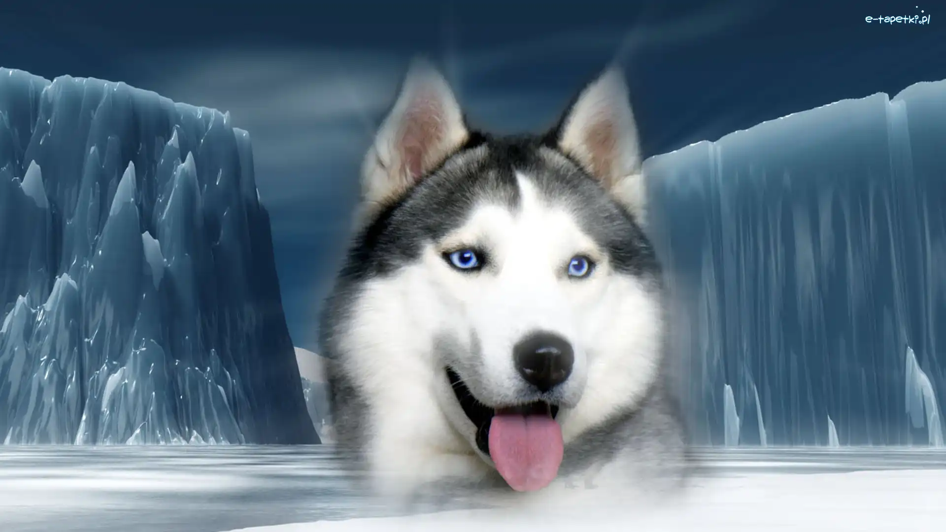 Husky, Lodowe, Góry, Syberian
