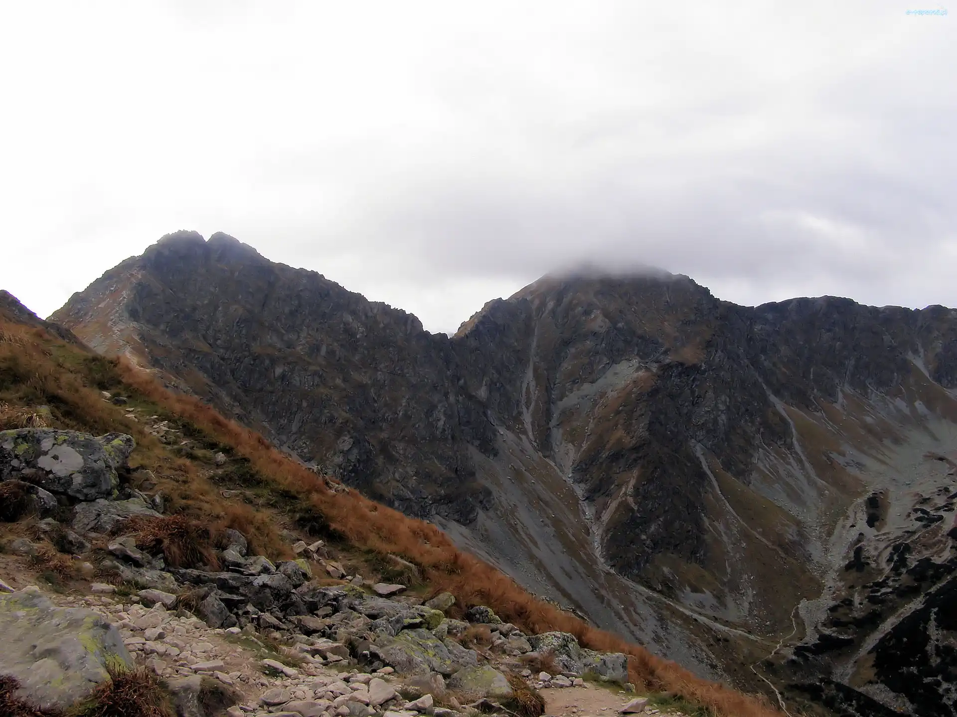 Rochacz, Zachodnie, Tatry