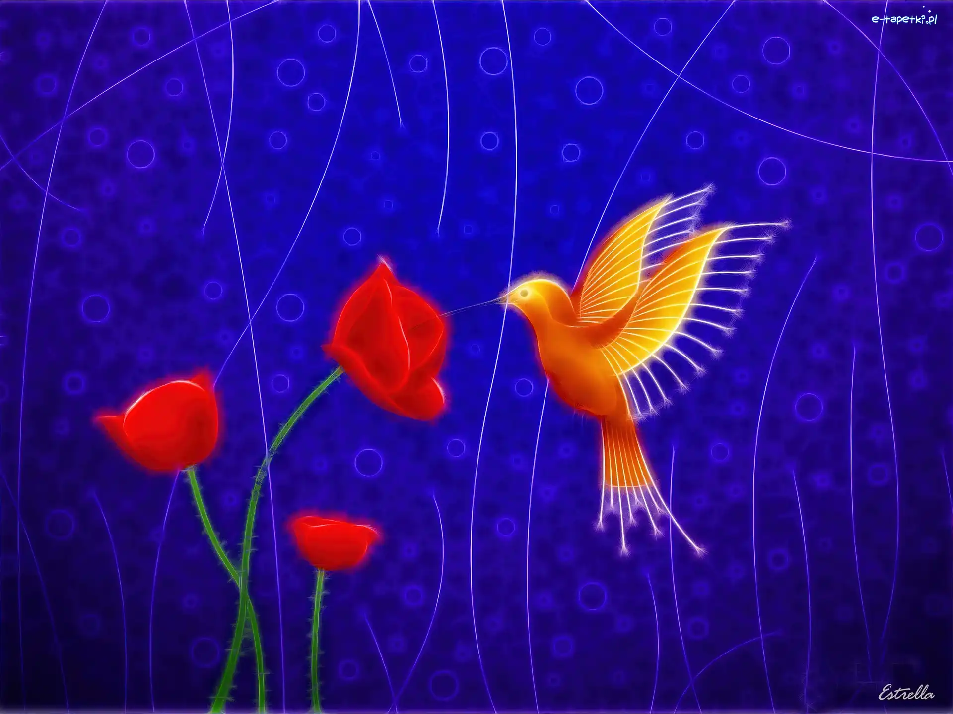 Ptak, Granatowe, Kwiaty, 3D, Tło