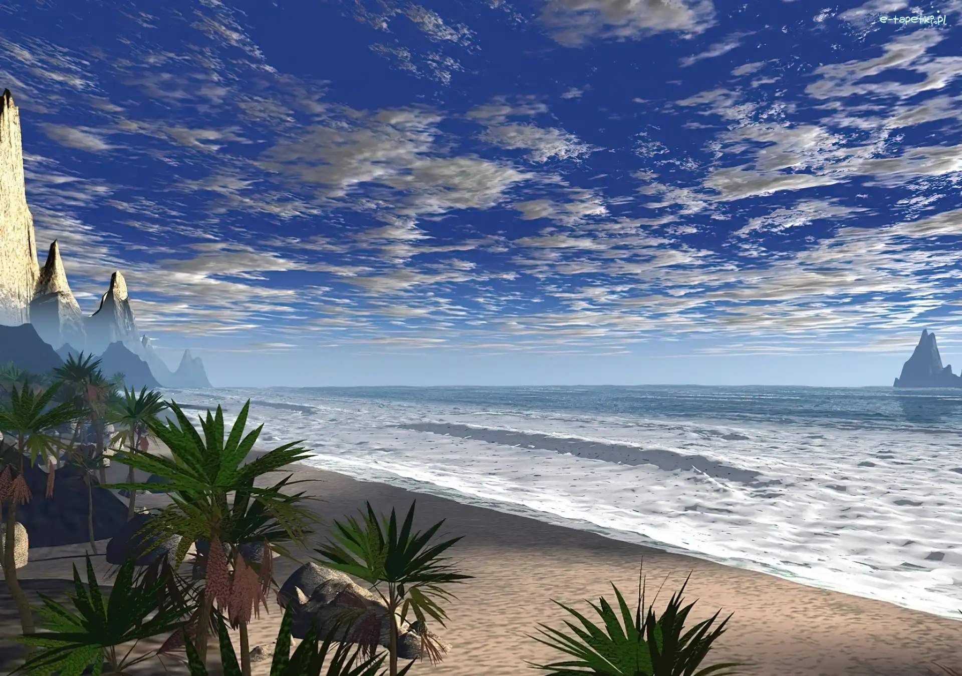 Zielone, Morze, Palmy, Plaża