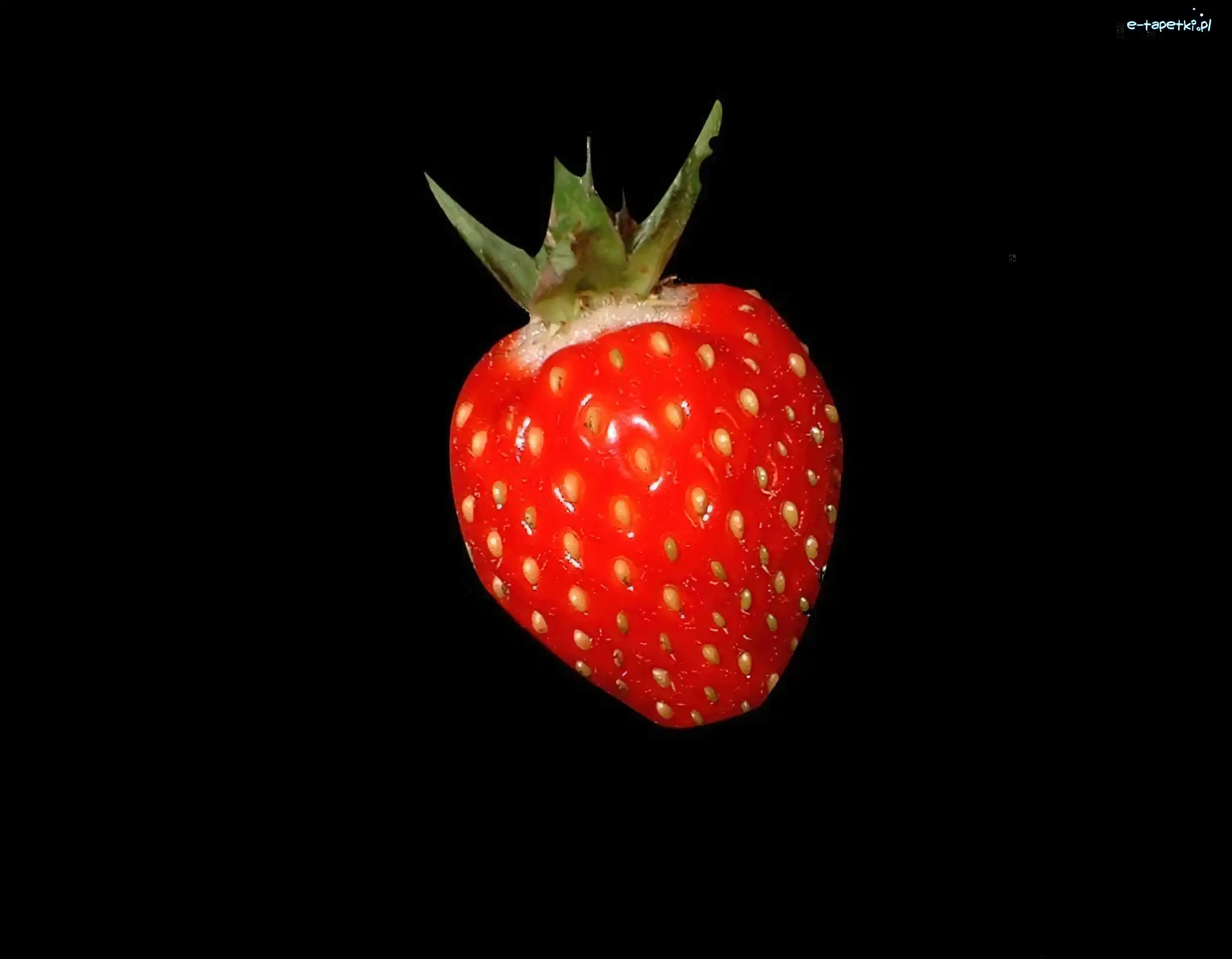 Truskaweczka, Mała