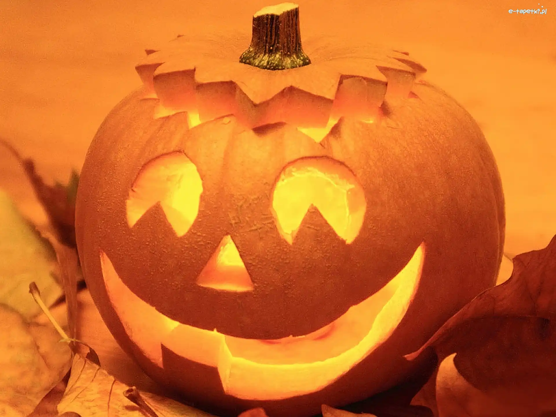 Halloween, Dynia