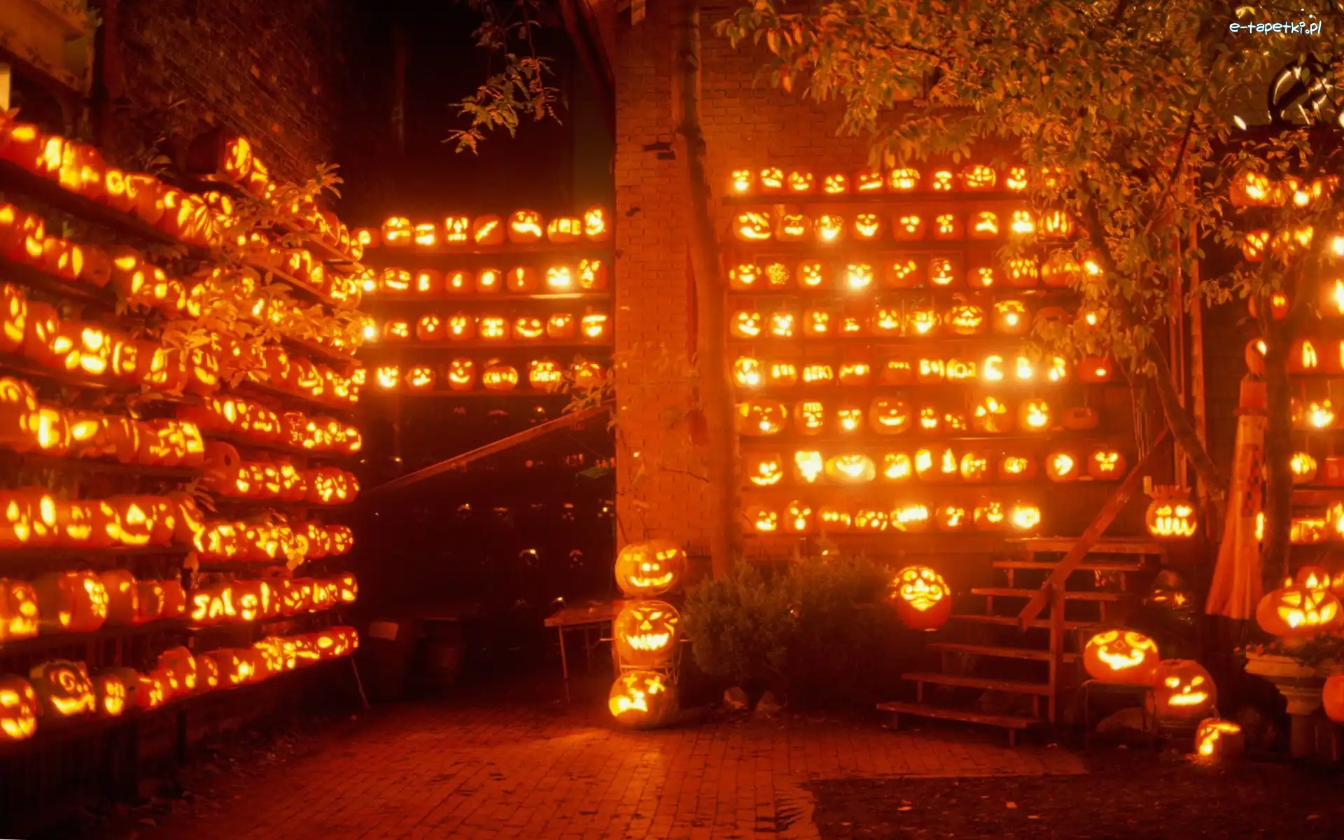 Dynie, Magazyn, Halloween