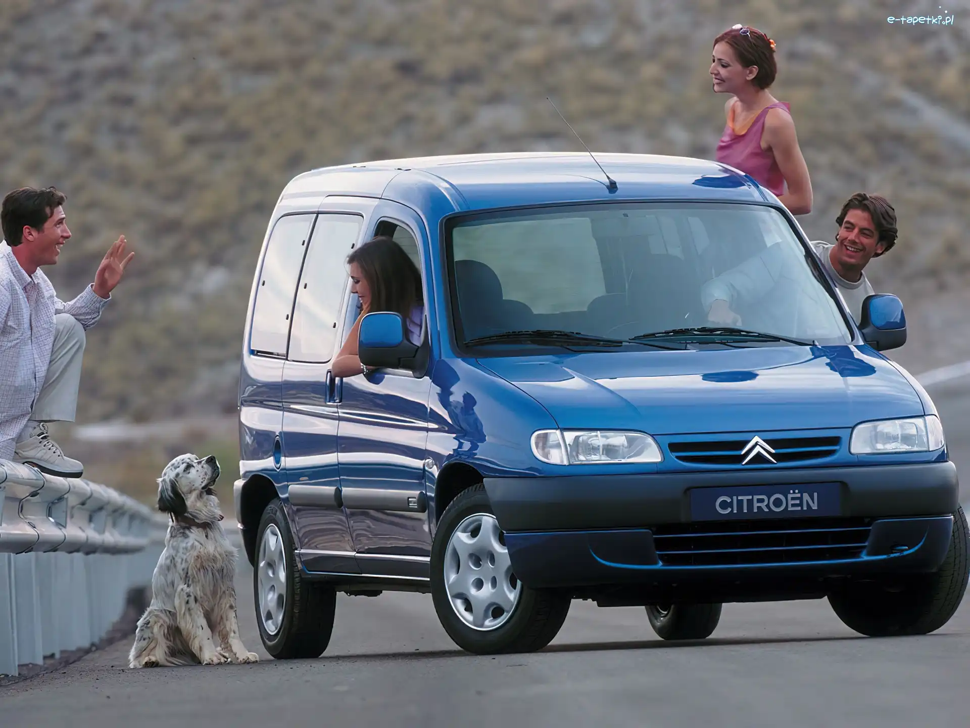 Pies, Rodzina, Citroen Berlingo