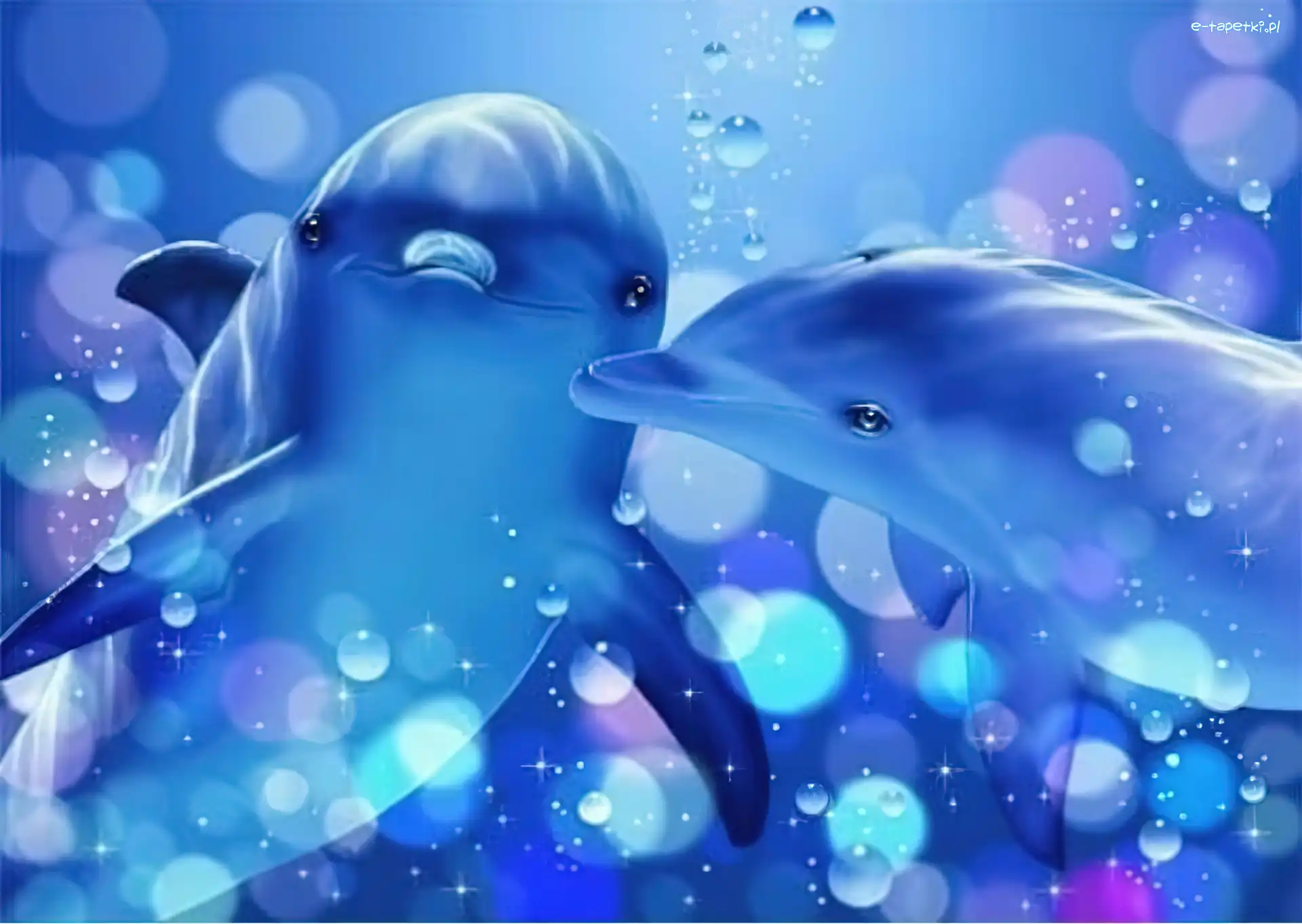 Delfiny, Dwa