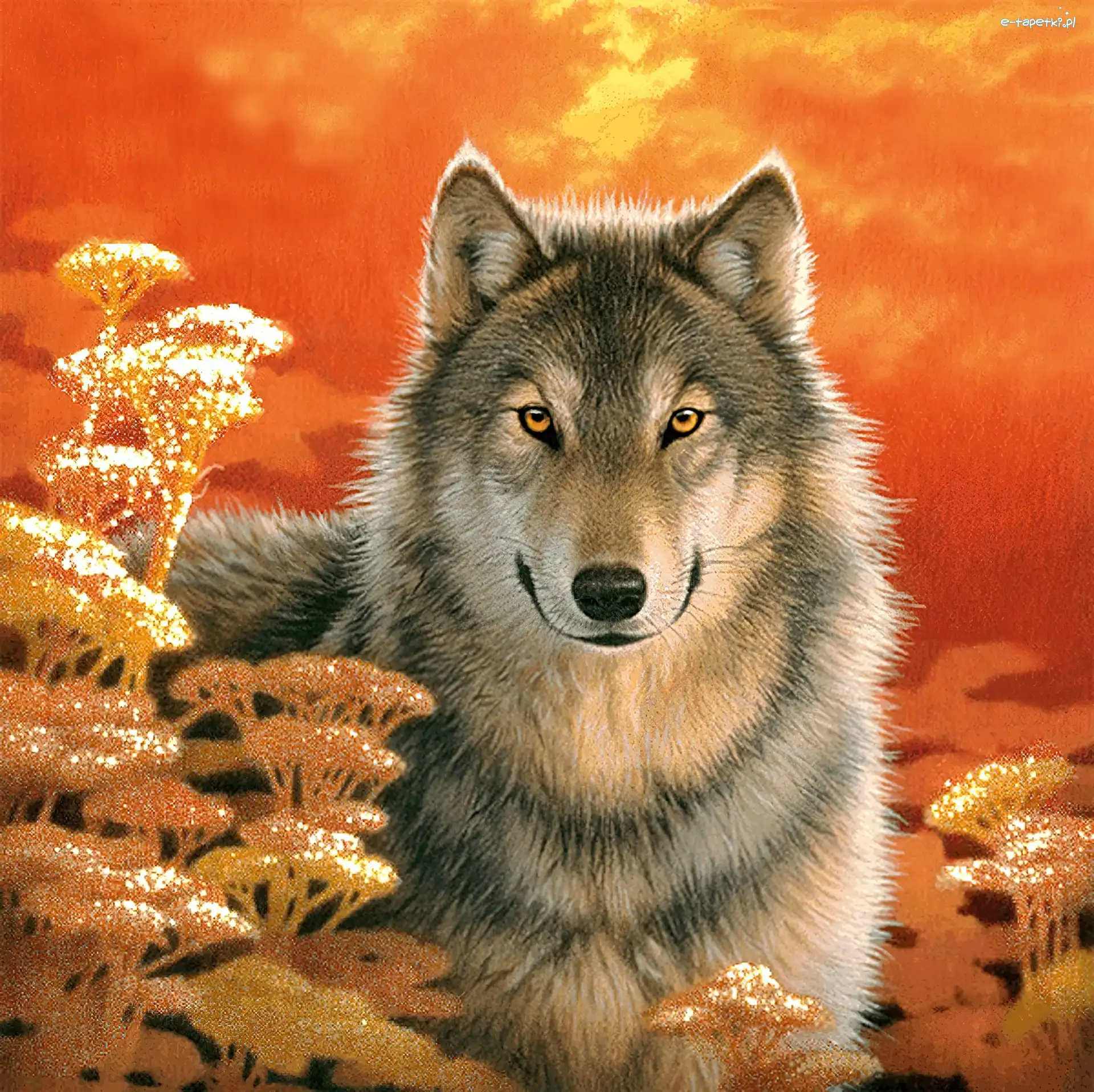 Słońca, Zachód, Wilk