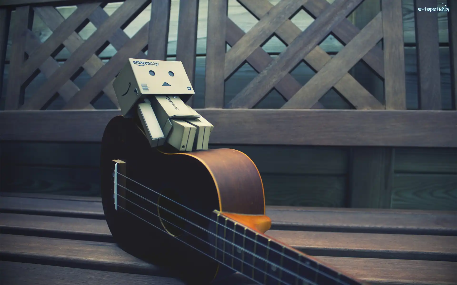 Gitara, Danbo