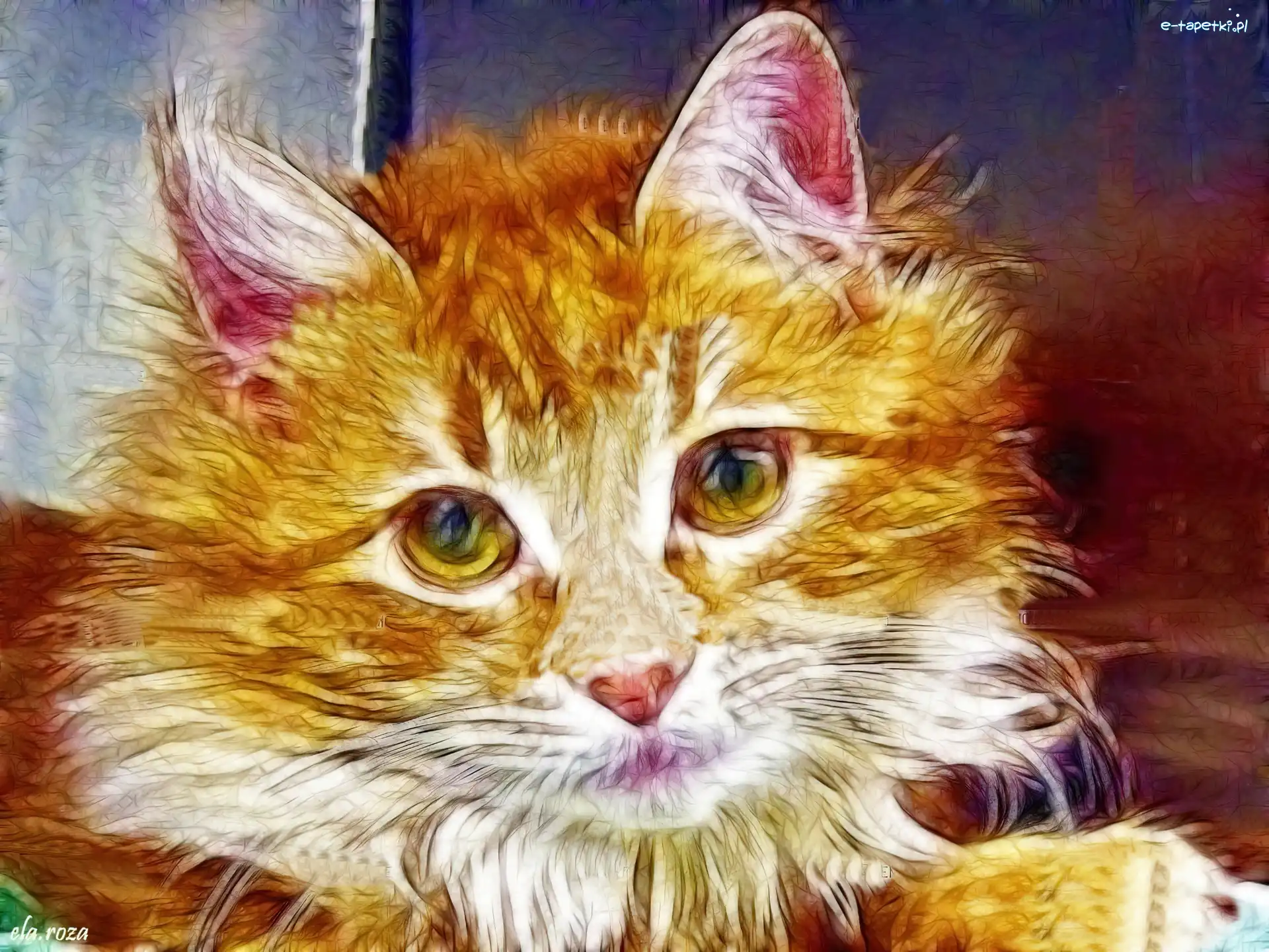 Fractalius, Kotek, Rudy