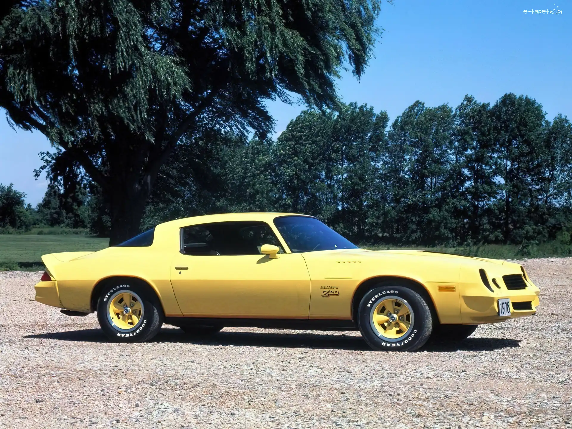 Z28, Chevrolet Camaro, Żółty