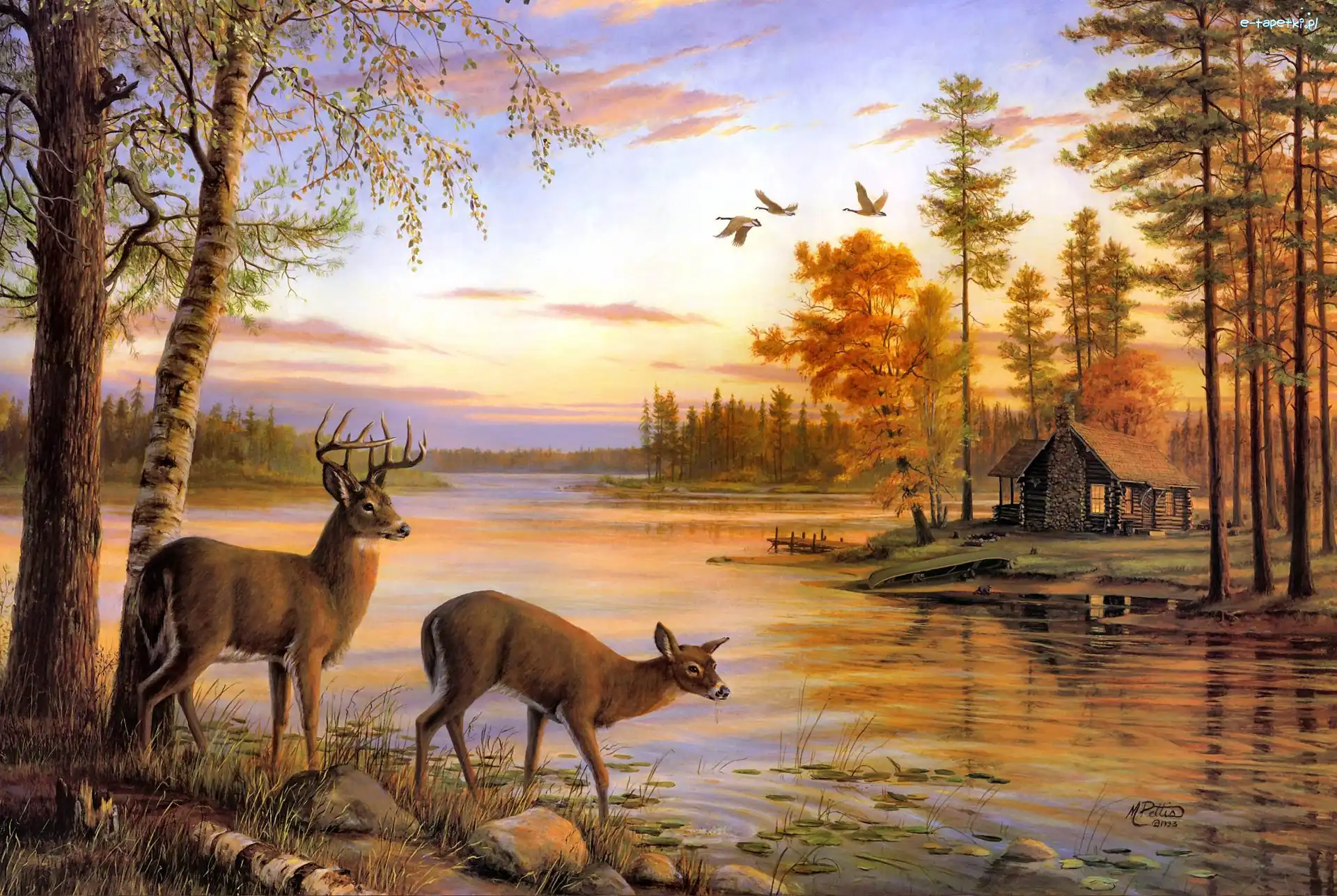 Jeleń, Woda, Łania, Mary Pettis, Domek