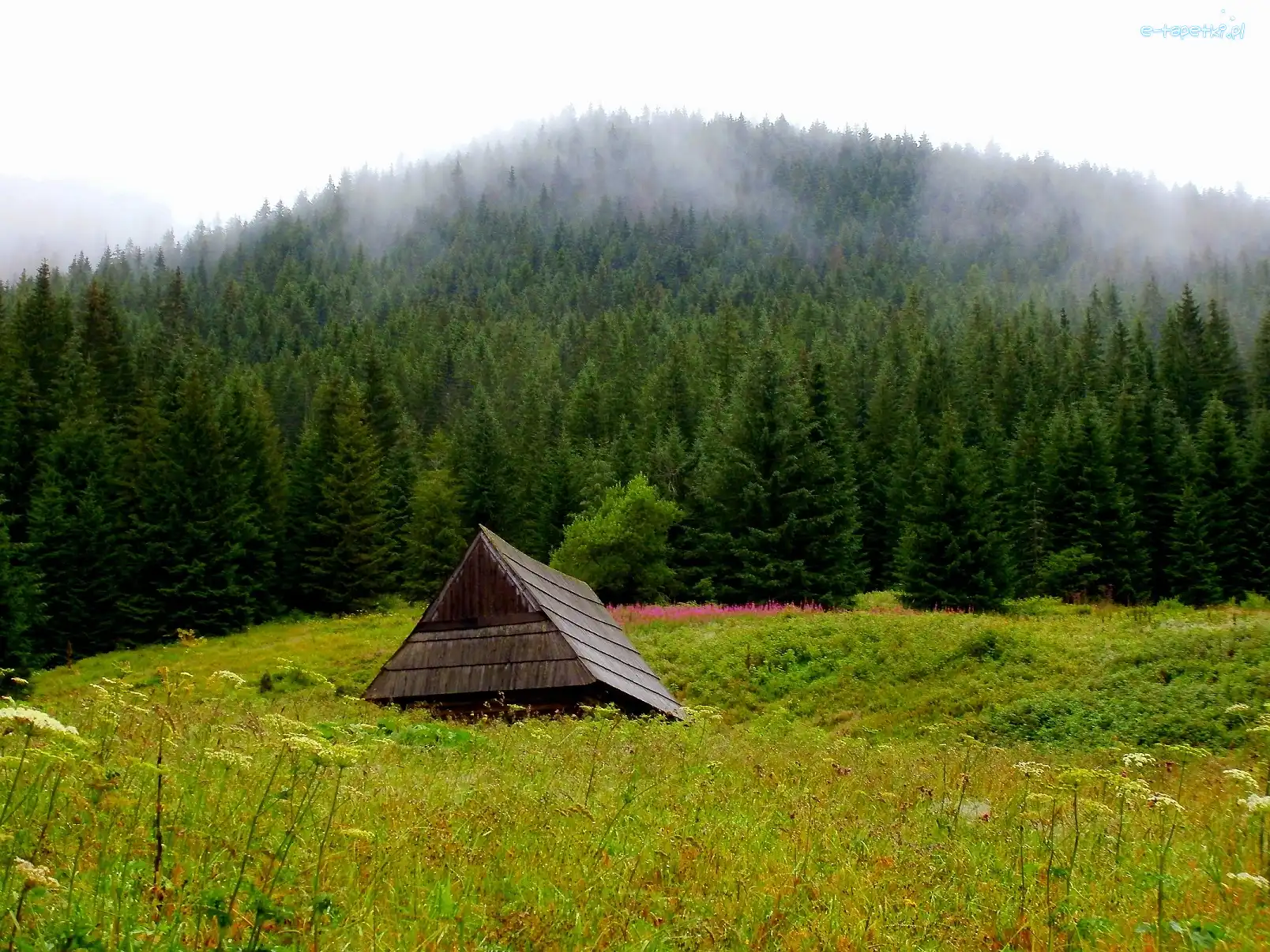 Polana, Góry, Tatry, Szałas, Krajobraz, Przyroda