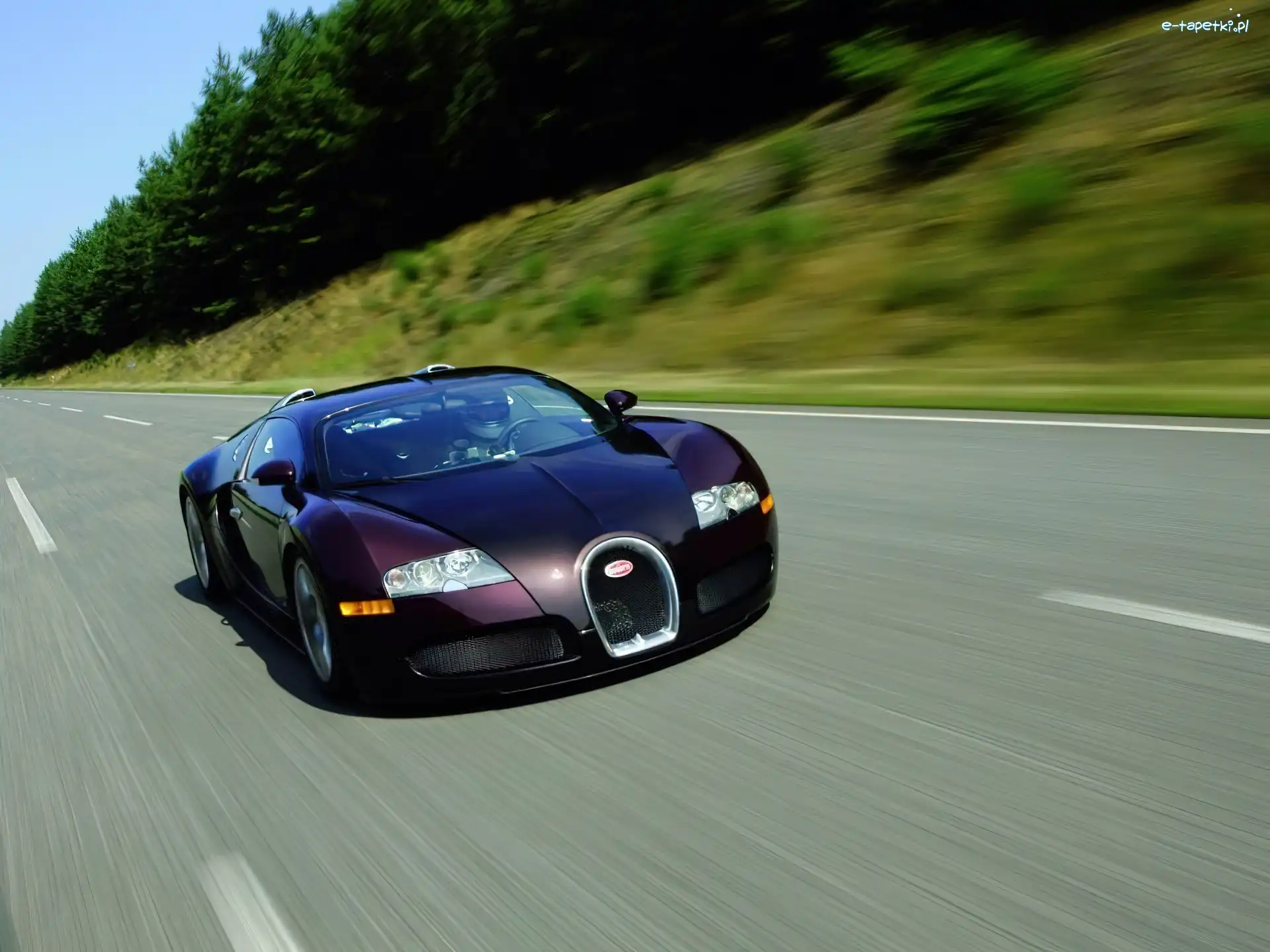 Bugatti Veyron, Bordowy