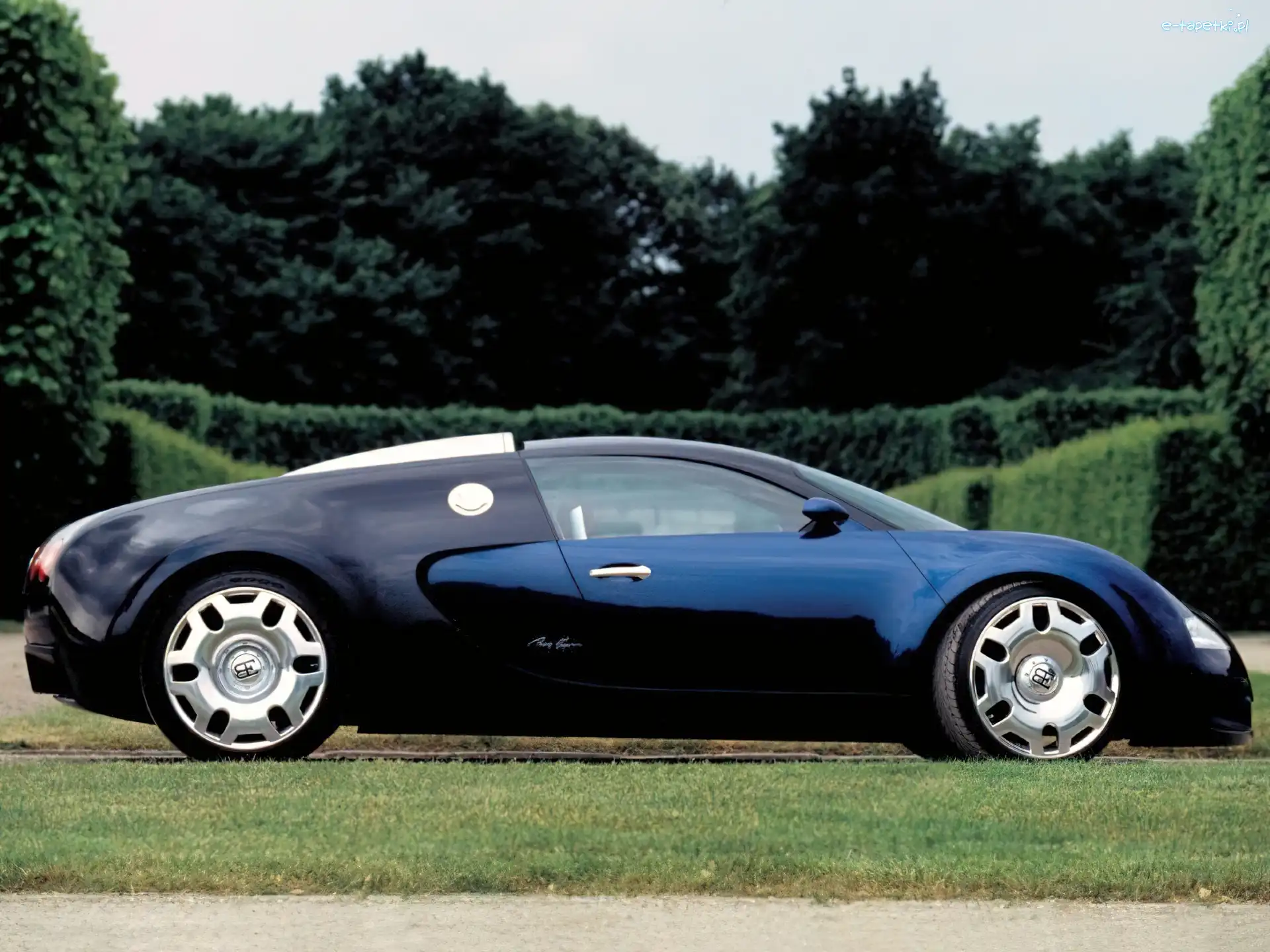 Prawy Profil, Bugatti Veyron