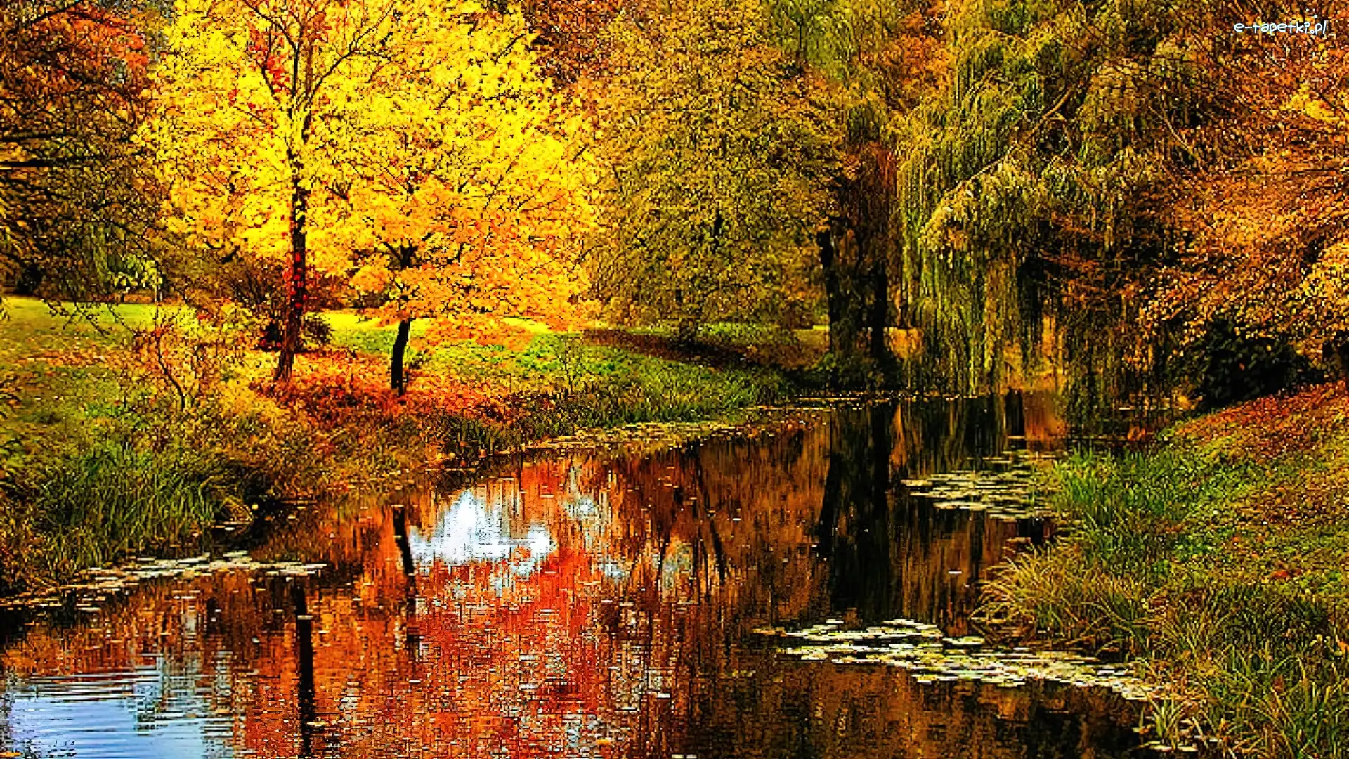 Rzeka, Las, Jesień