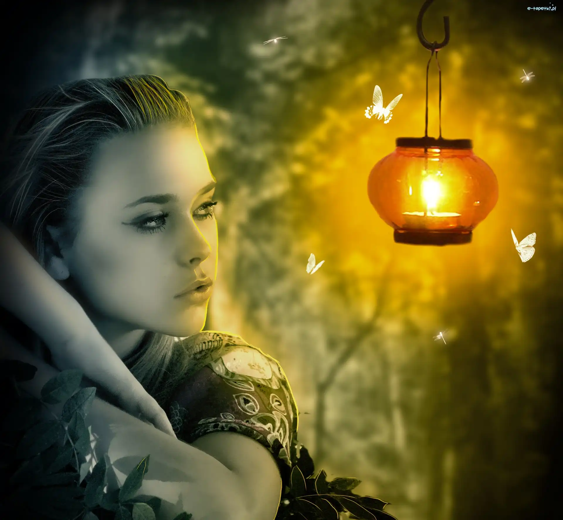 Motyle, Lampion, Dziewczyna