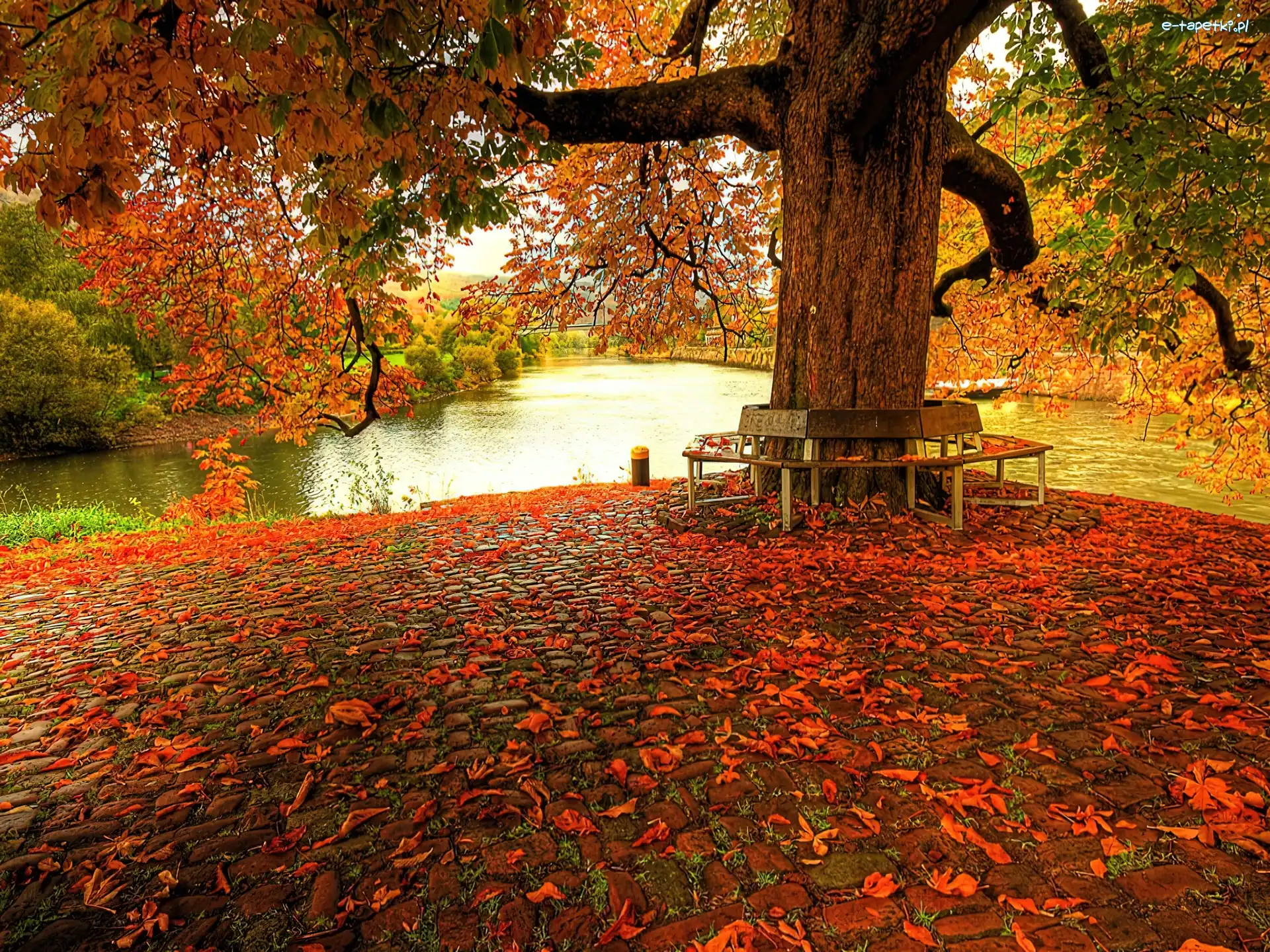 Park, Rzeka, Jesień