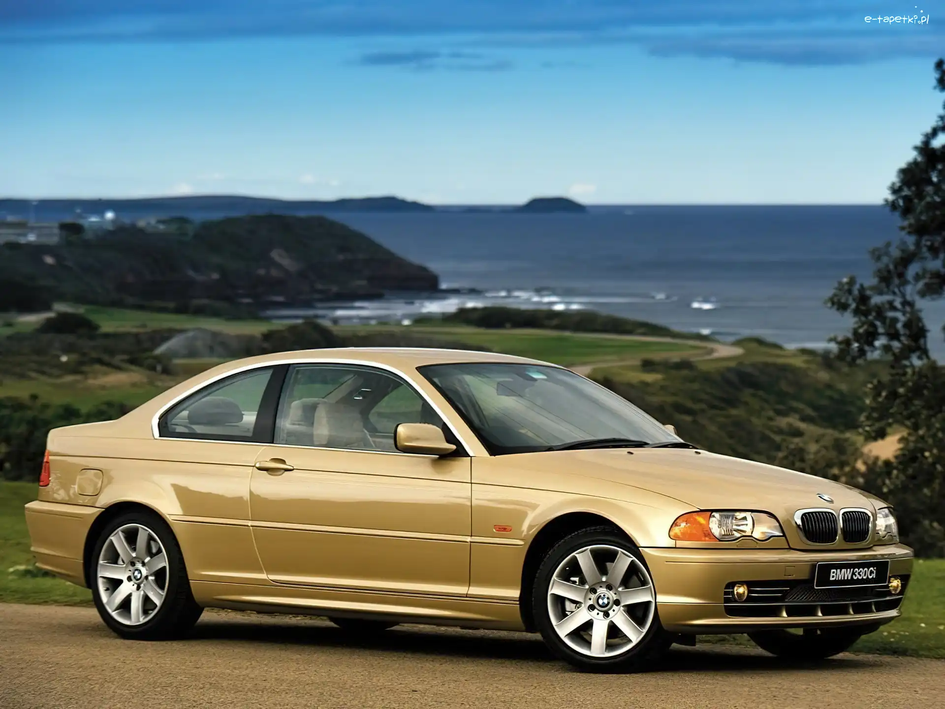 BMW E 46, Złoty