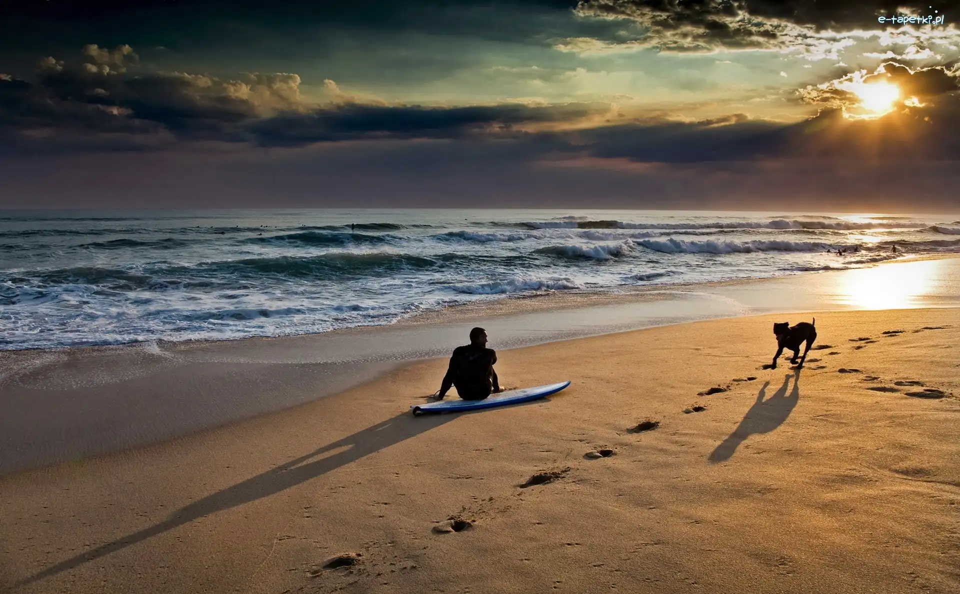 Plaża, Surfer, Pies, Morze