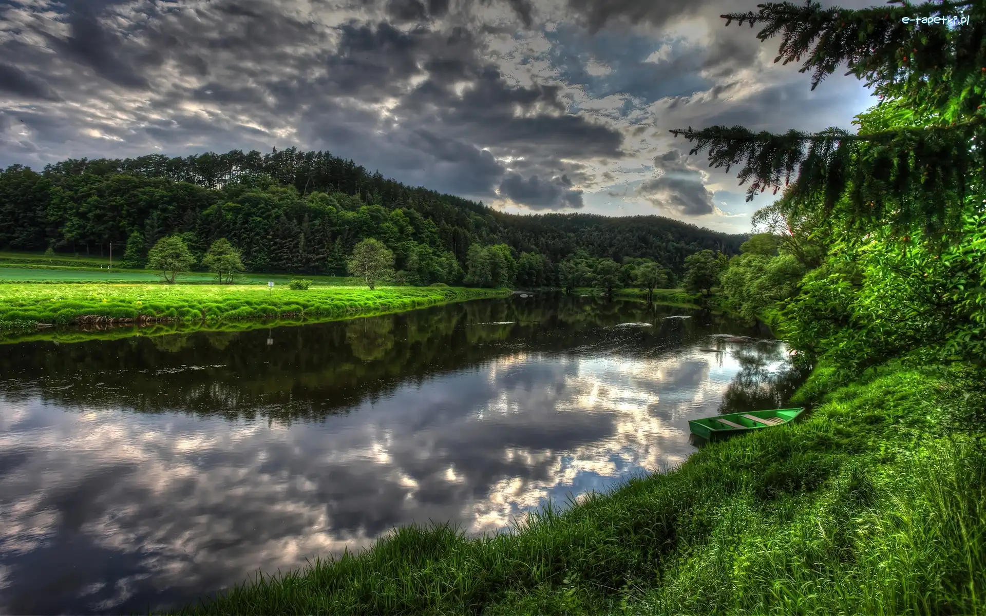 Jezioro, Drzewa