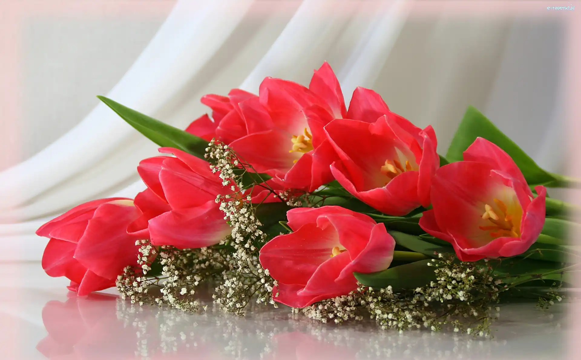 Tulipany, Czerwone, Kwiaty