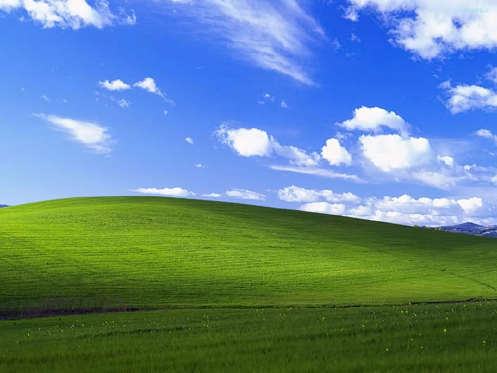 Niebo, Windows, Chmury, Łąka