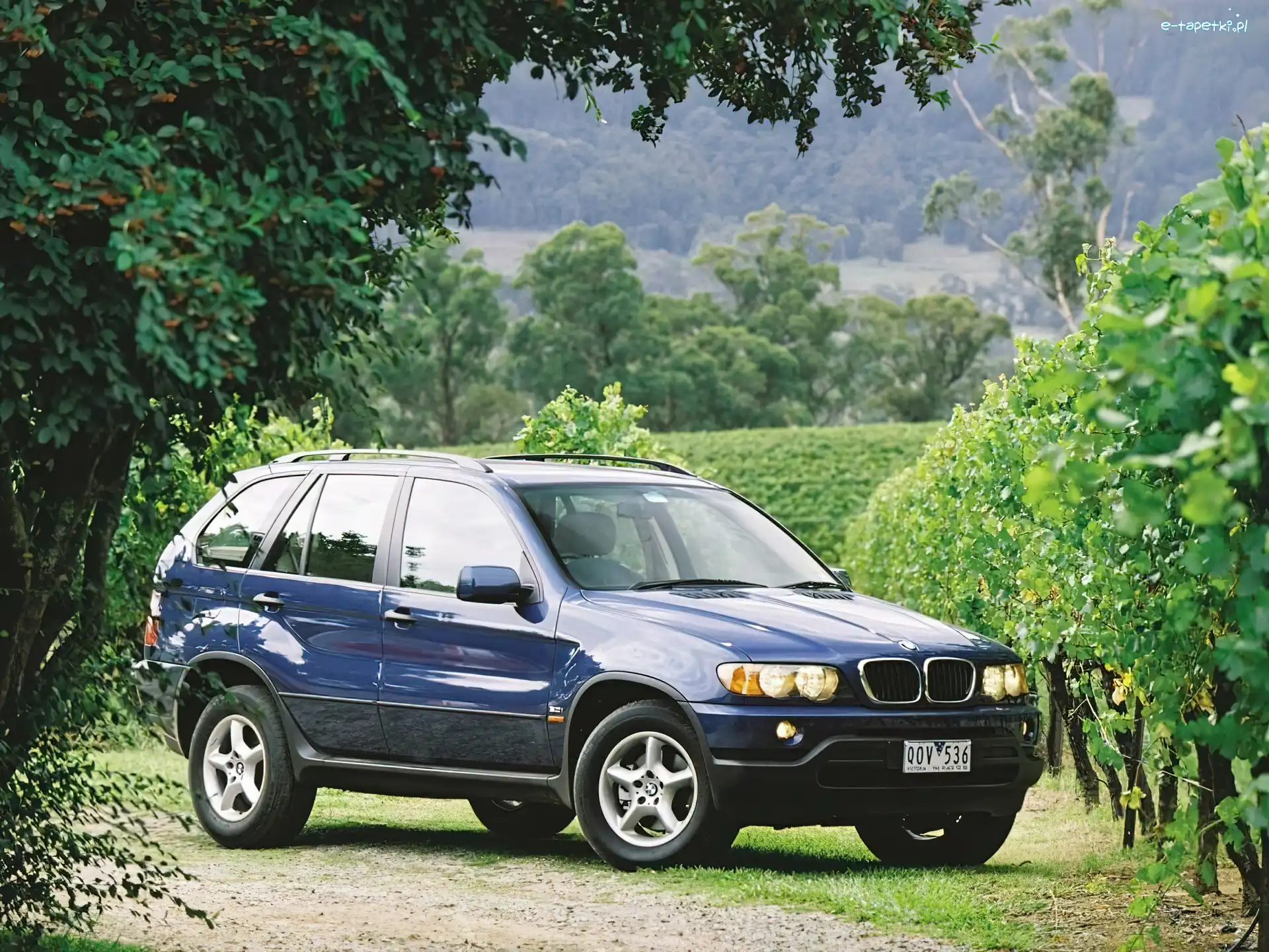 Bmw X5, Granatowy