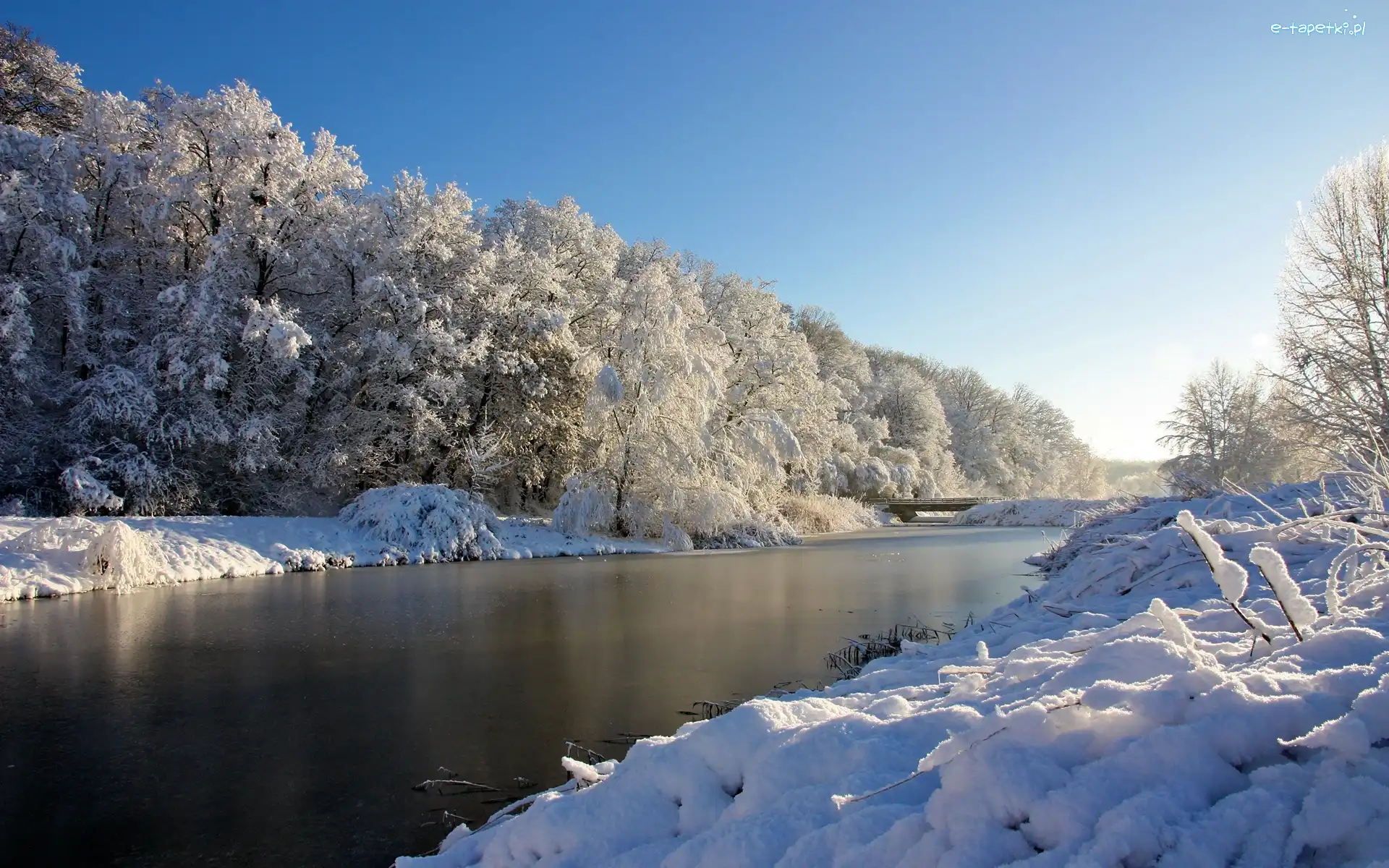 Drzewa, Rzeka, Śnieg
