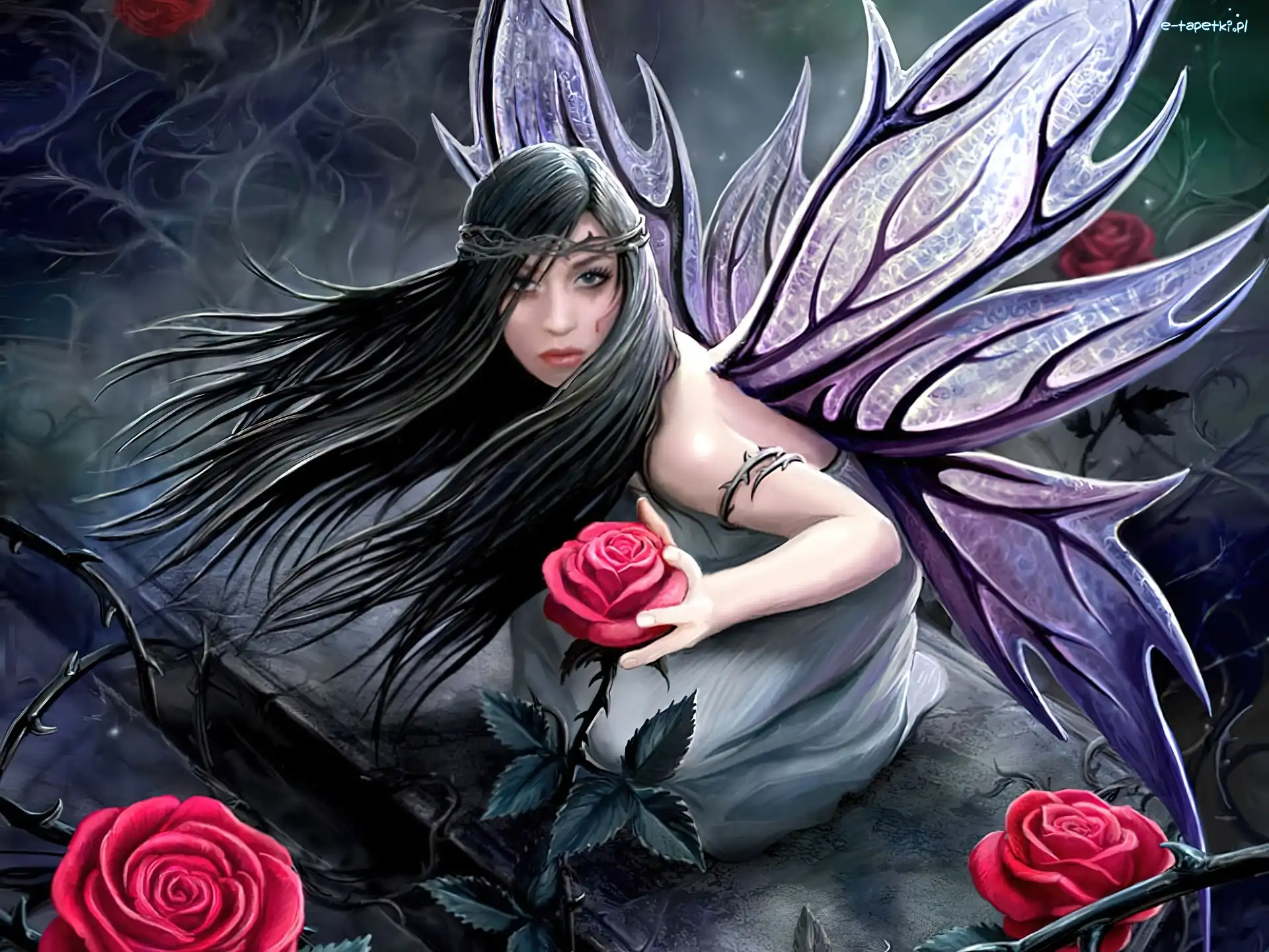 Róże, Motyl, Kobieta