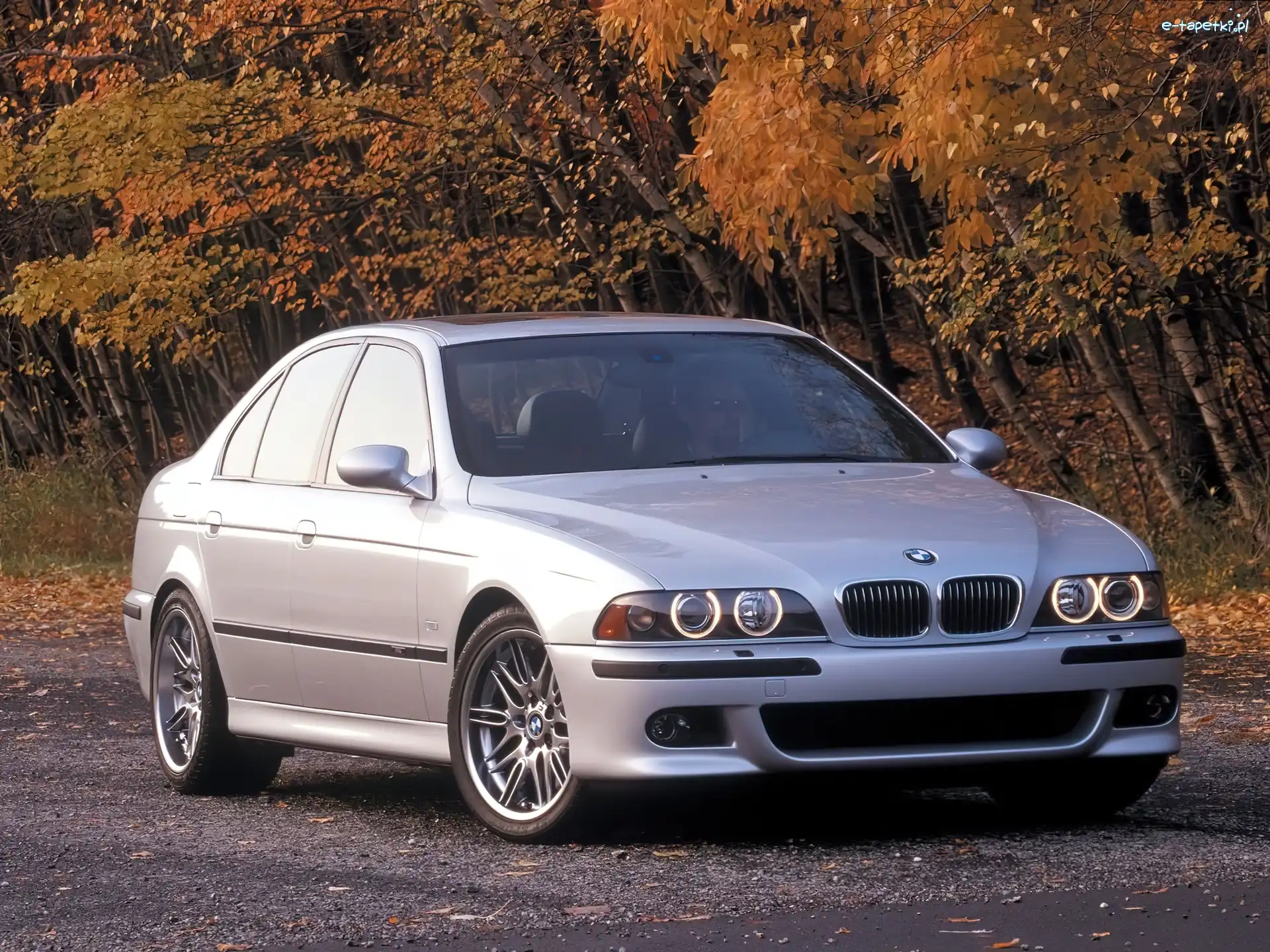 E39, M5, BMW