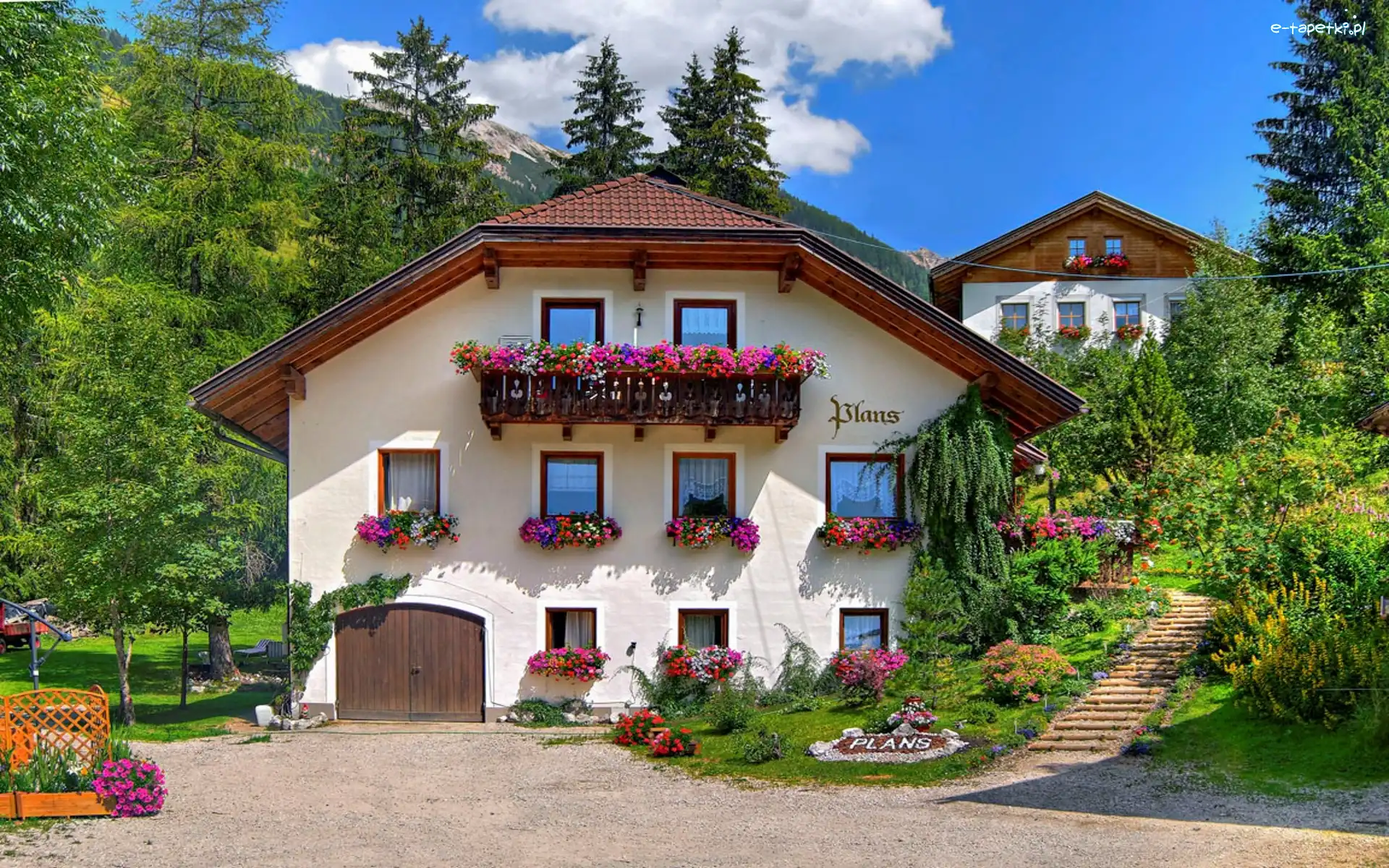 Kwiaty, Wiosna, Dom