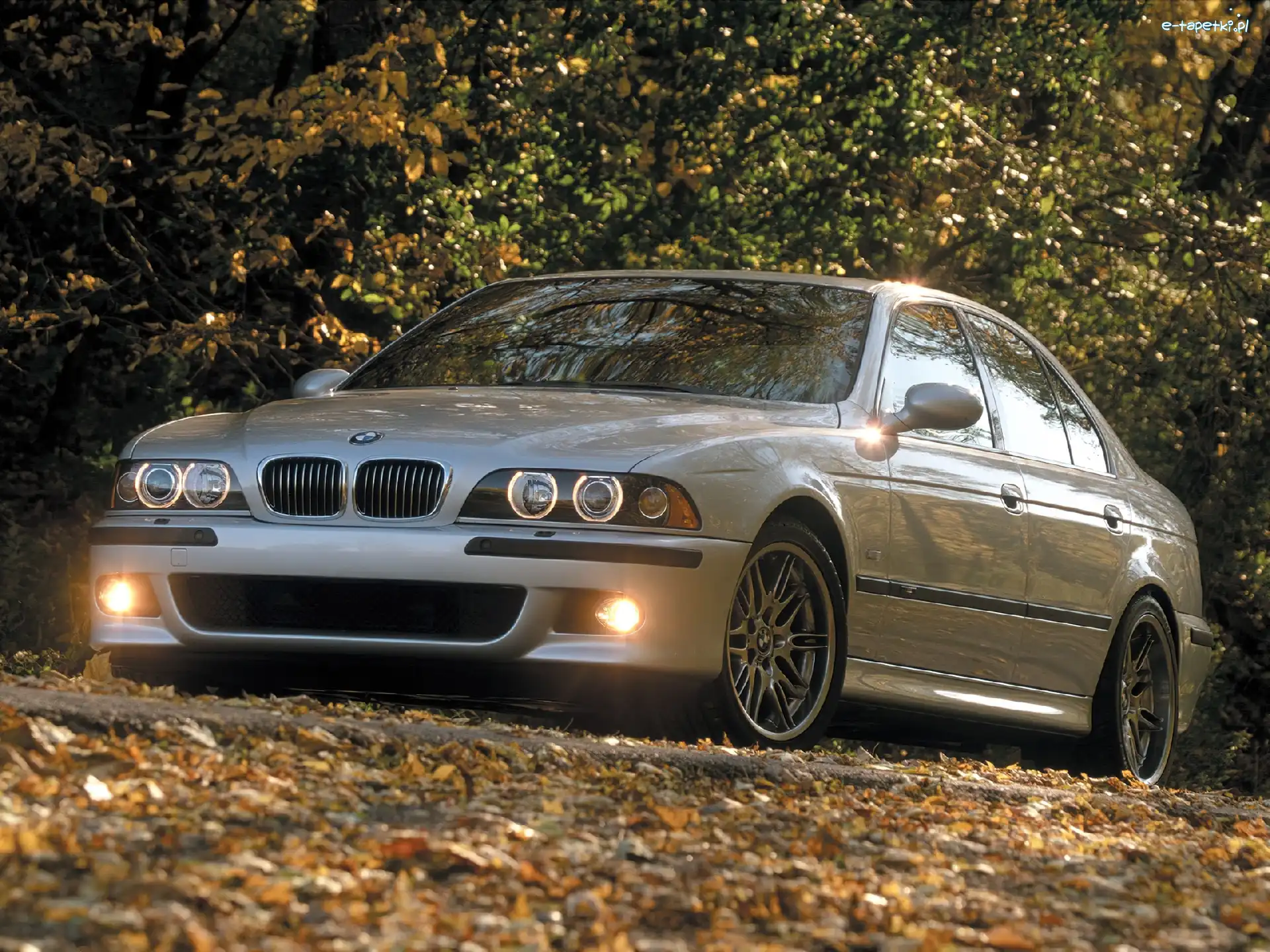 E39, BMW 5, BMW Seria M
