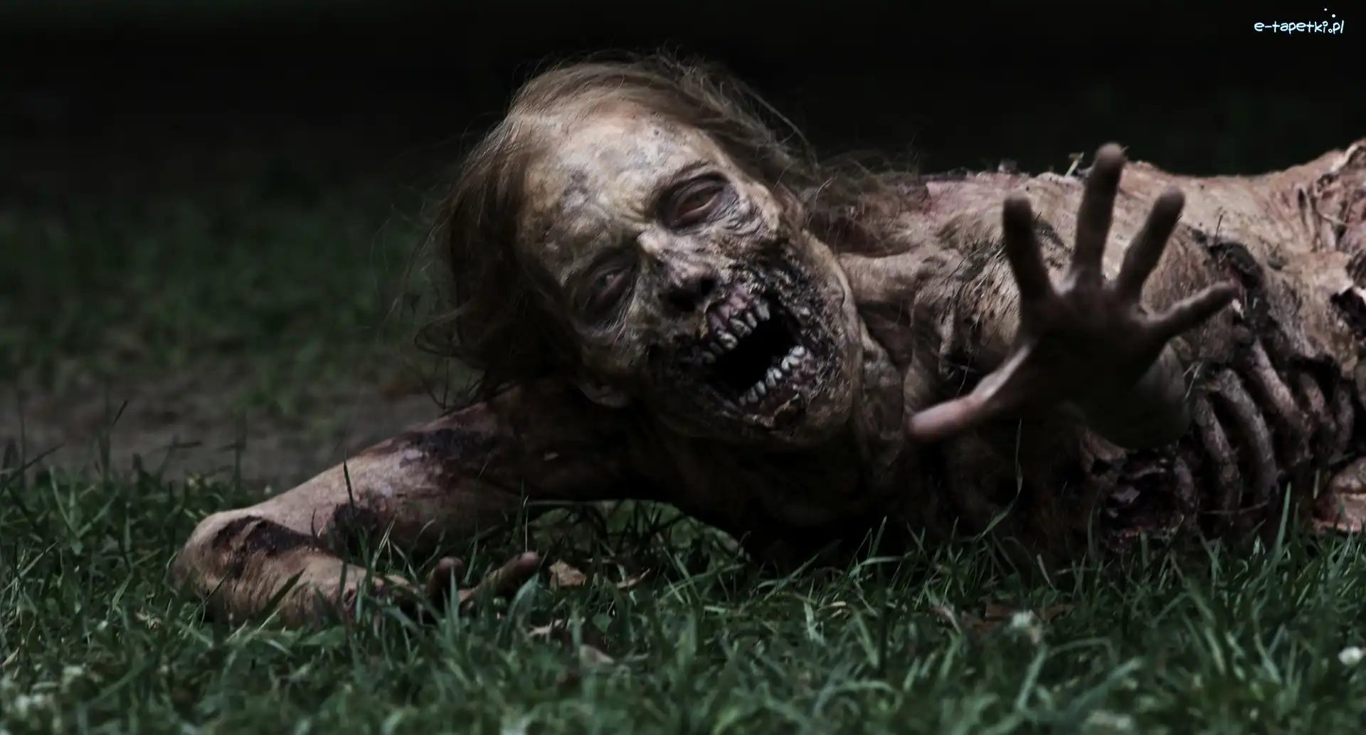 Żywe trupy, Zombie, Kobieta, The Walking Dead