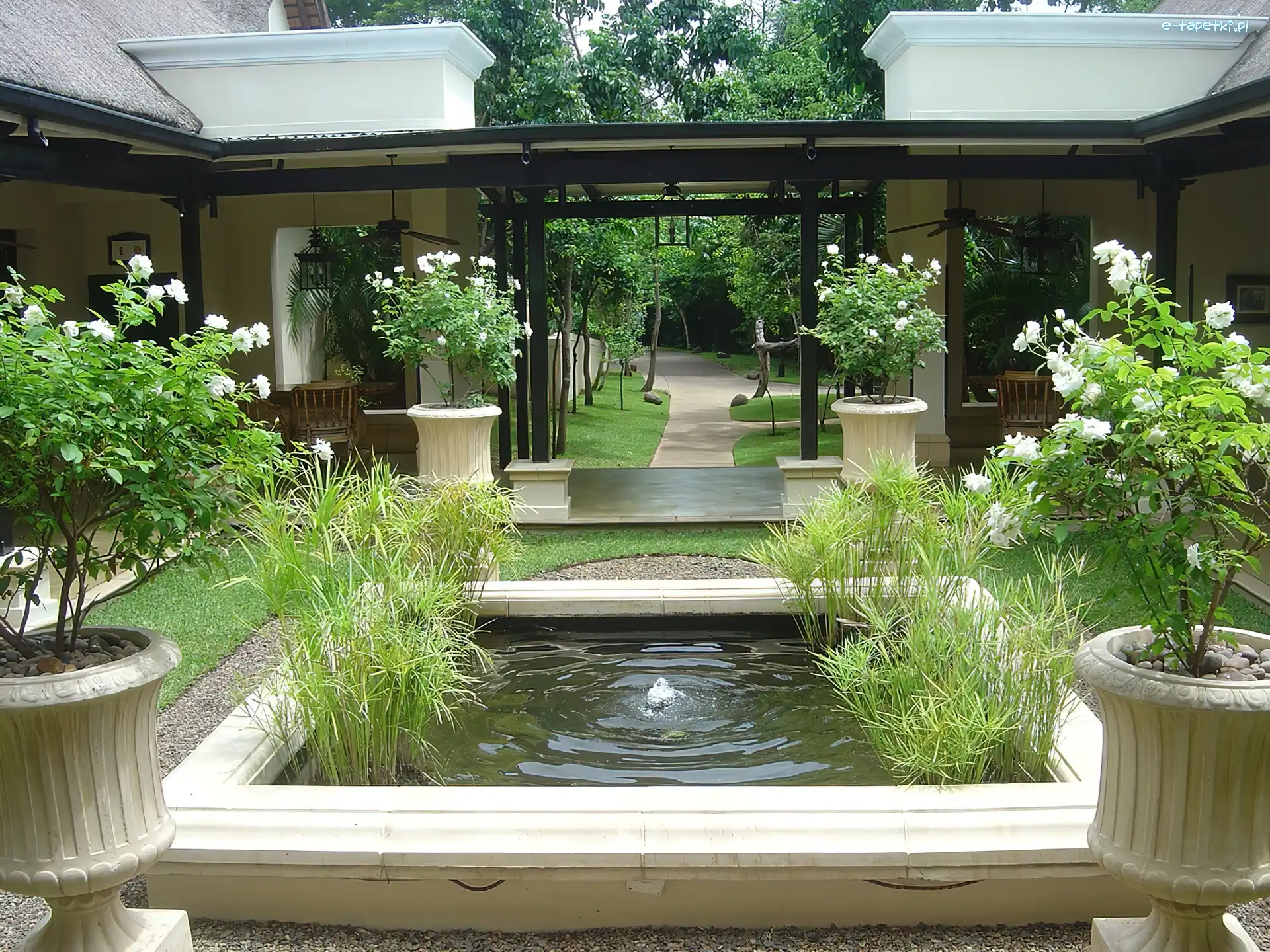 Victoria, Ogród, Zambia, Hotel