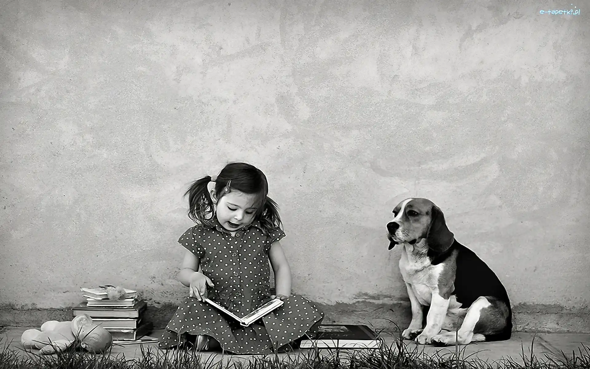 Książki, Beagle, Pies, Dziewczynka