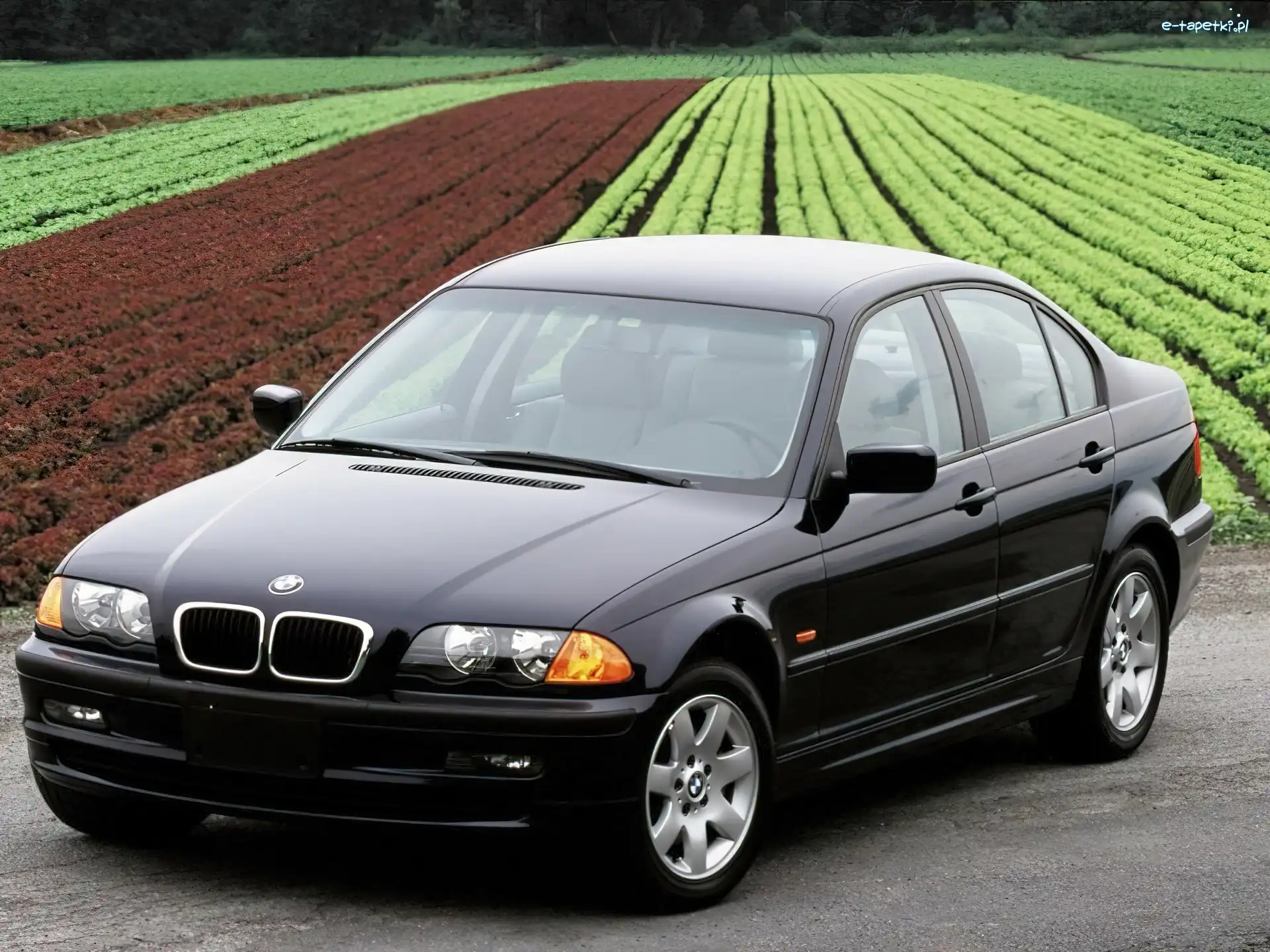 BMW, Pole, Sedan, Czarne