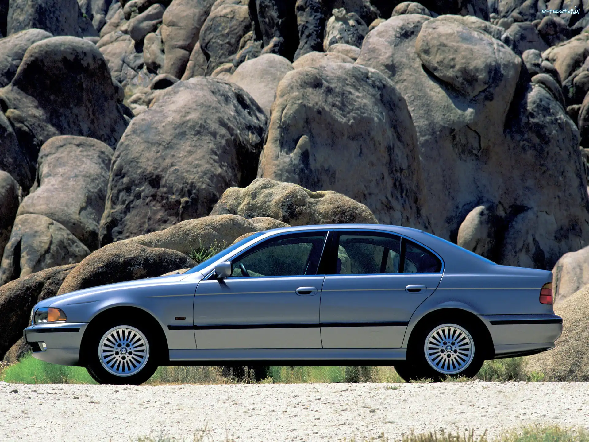 Lewy Profil, E39, BMW 5