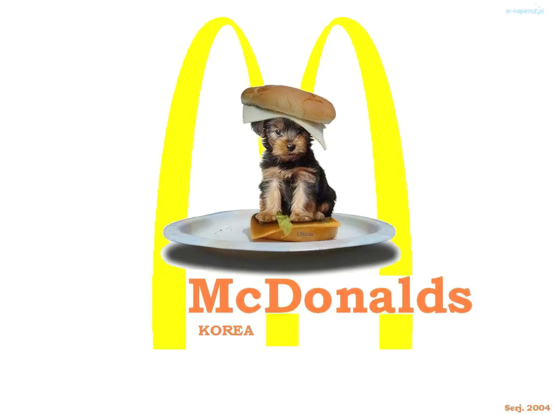 Kanapka, Piesek, McDonalds
