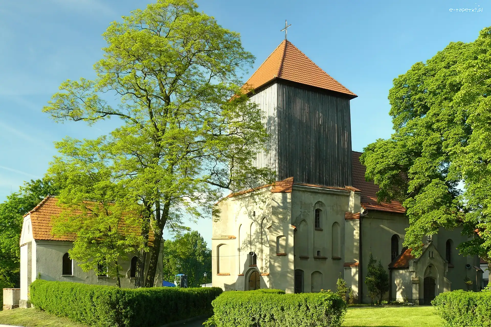 Drzewa, Kościół