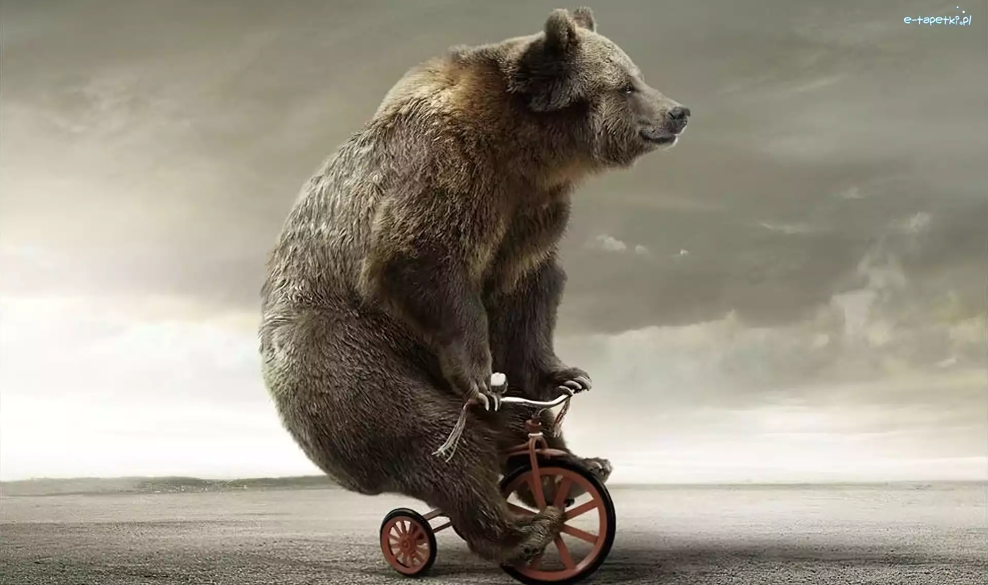 Rowerku, Na, Miś