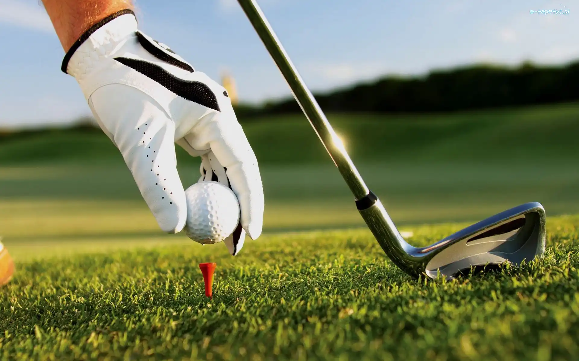 Kula, Golfowy, Kij, Rękawica, Ręka